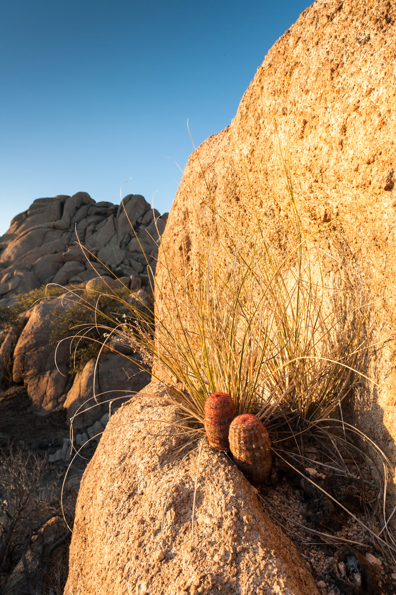 Texas Canyon, near Benson, at sunset, Arizona, USA