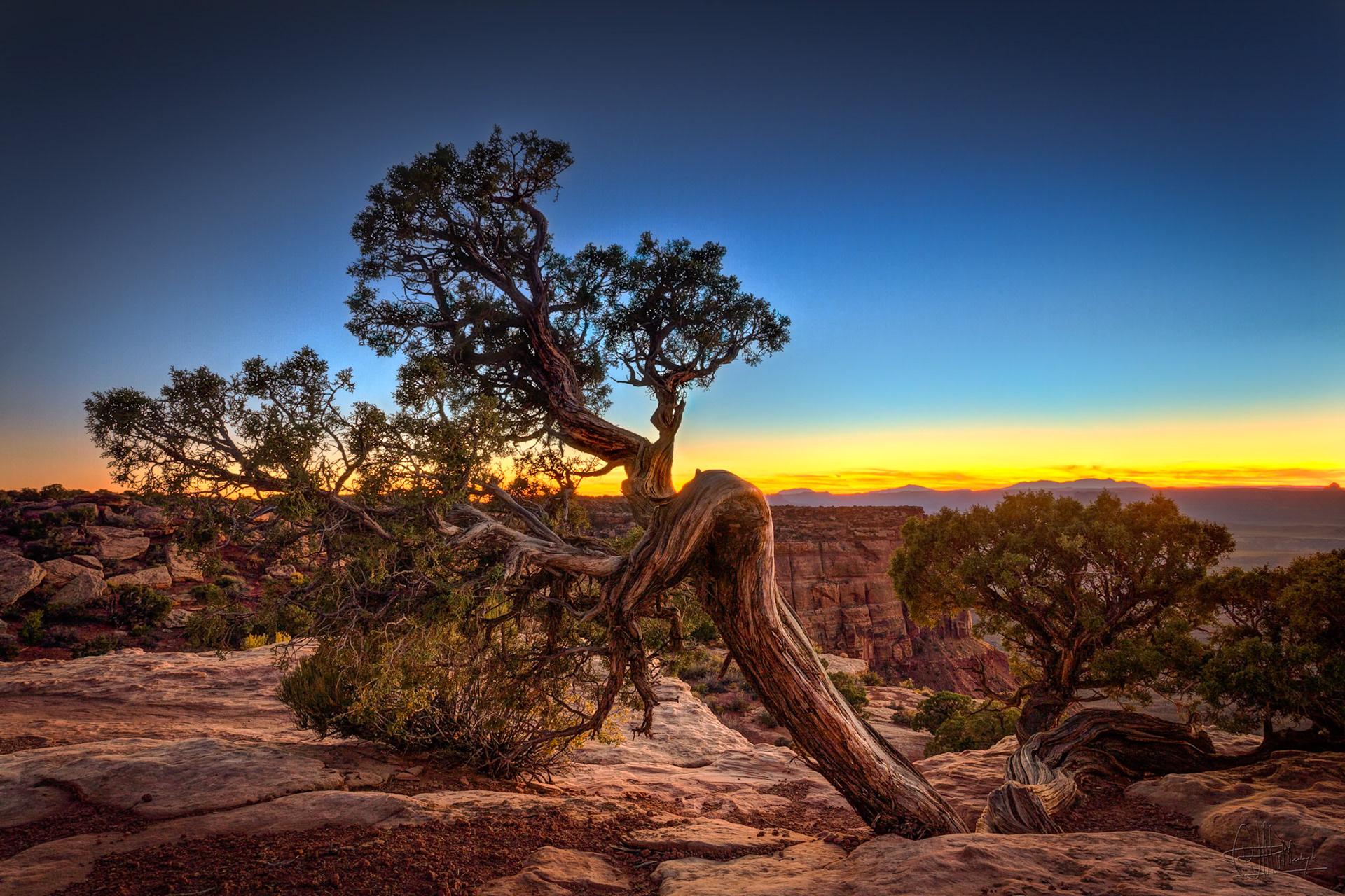 Canyonlands National Park, Island in the Sky, Grand View Point, Utah, USA