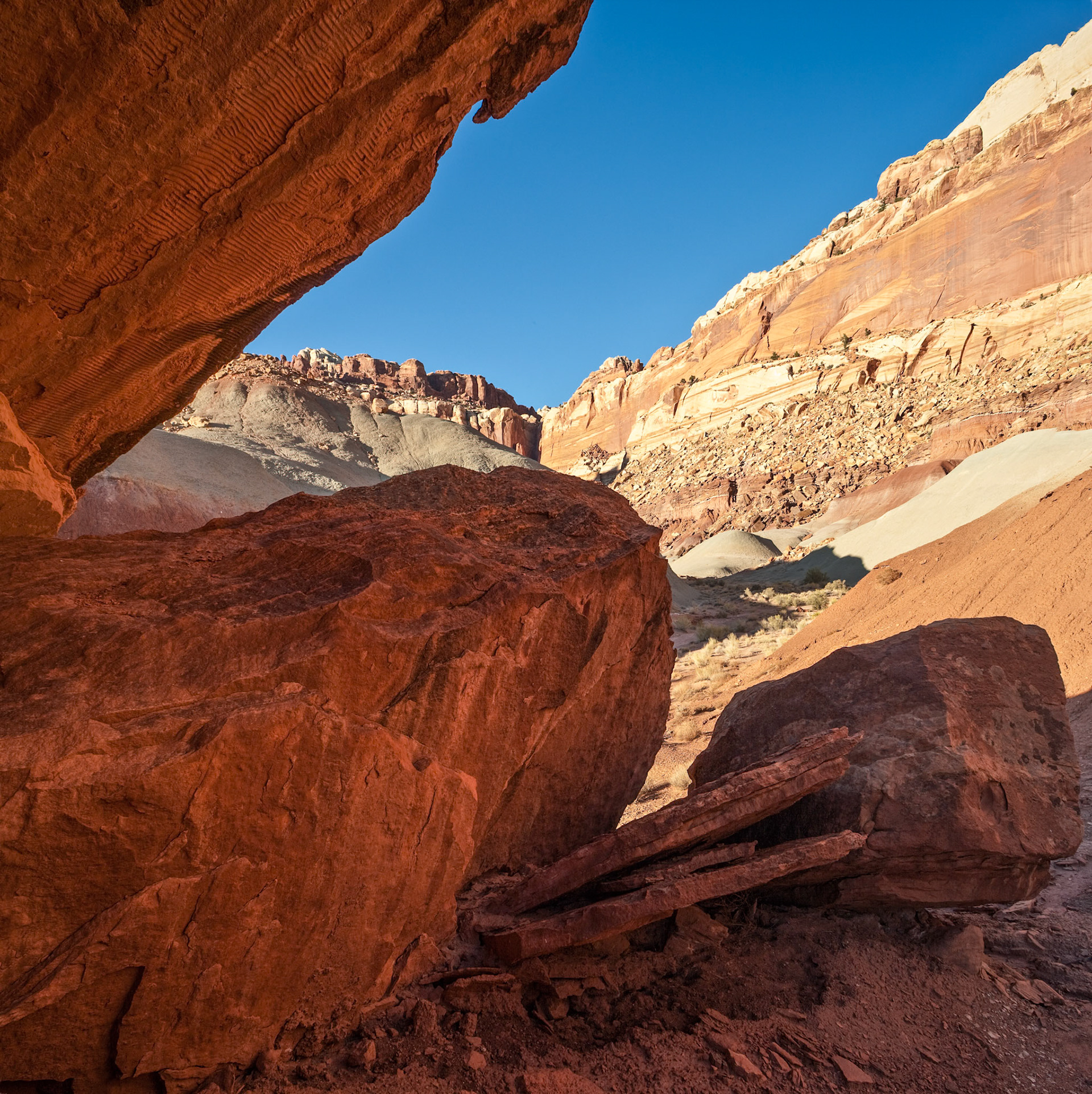 Capitol Reef, near The Castle, Utah, USA