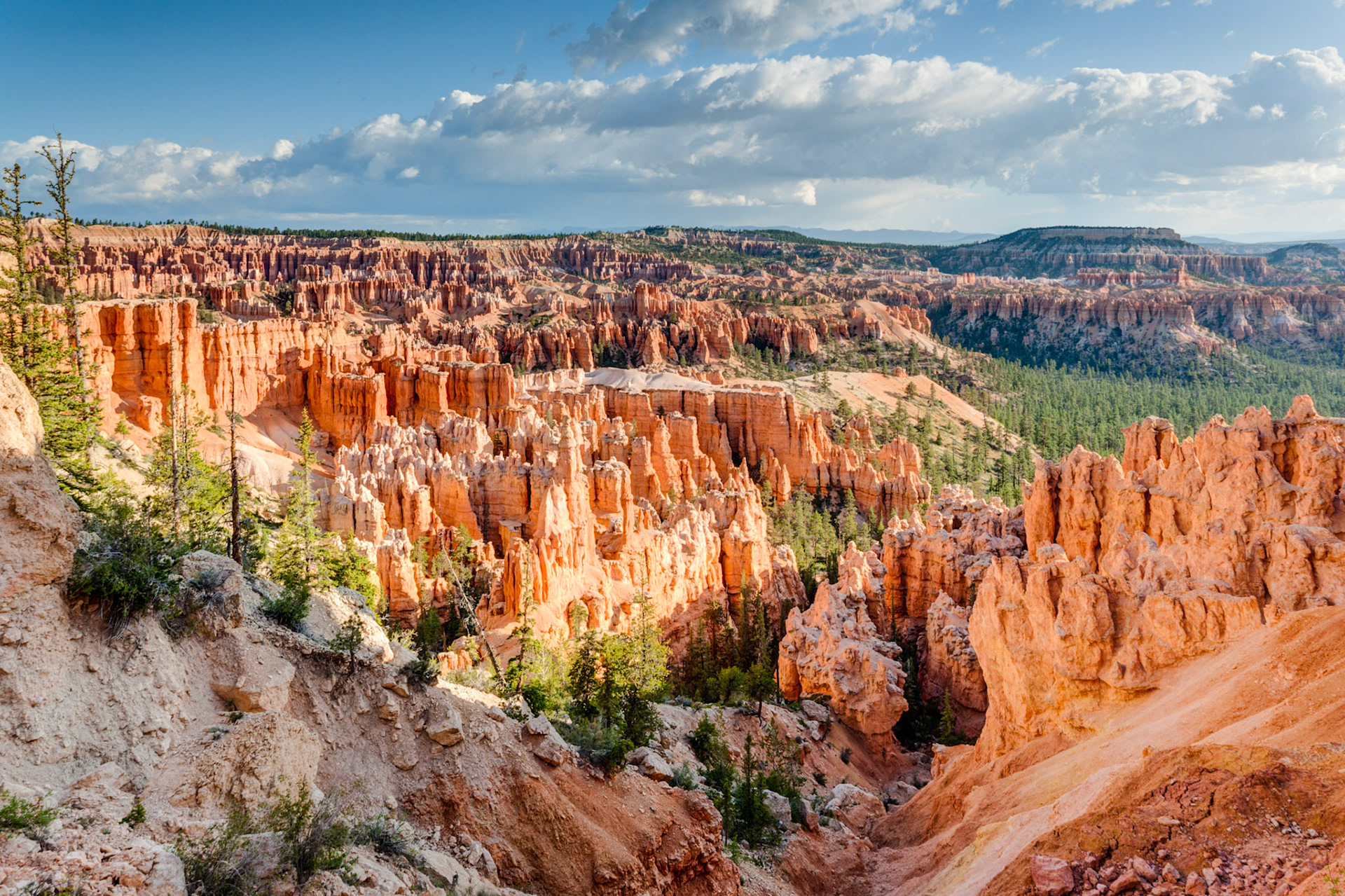 Bryce Canyon, Bryce Point,  UT, USA