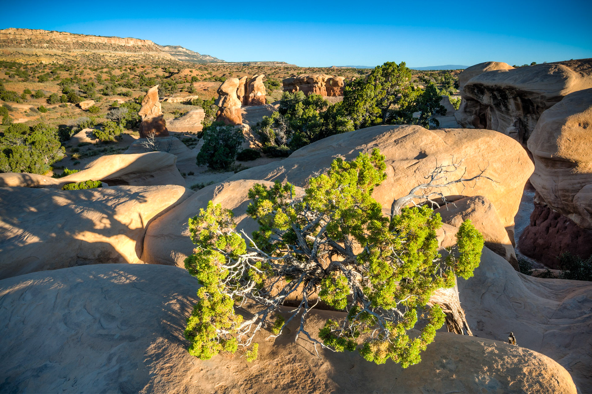 Sunrise at Devils Garden at Grand Staircase Escalante National Monument, UT, USA
