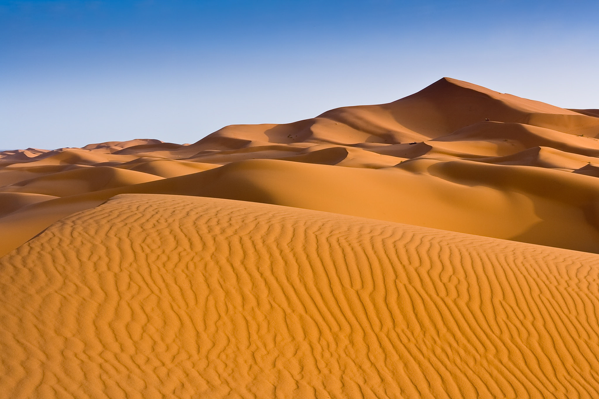 Sand dunes at Hassi Labiad near Merzouga, Morocco
