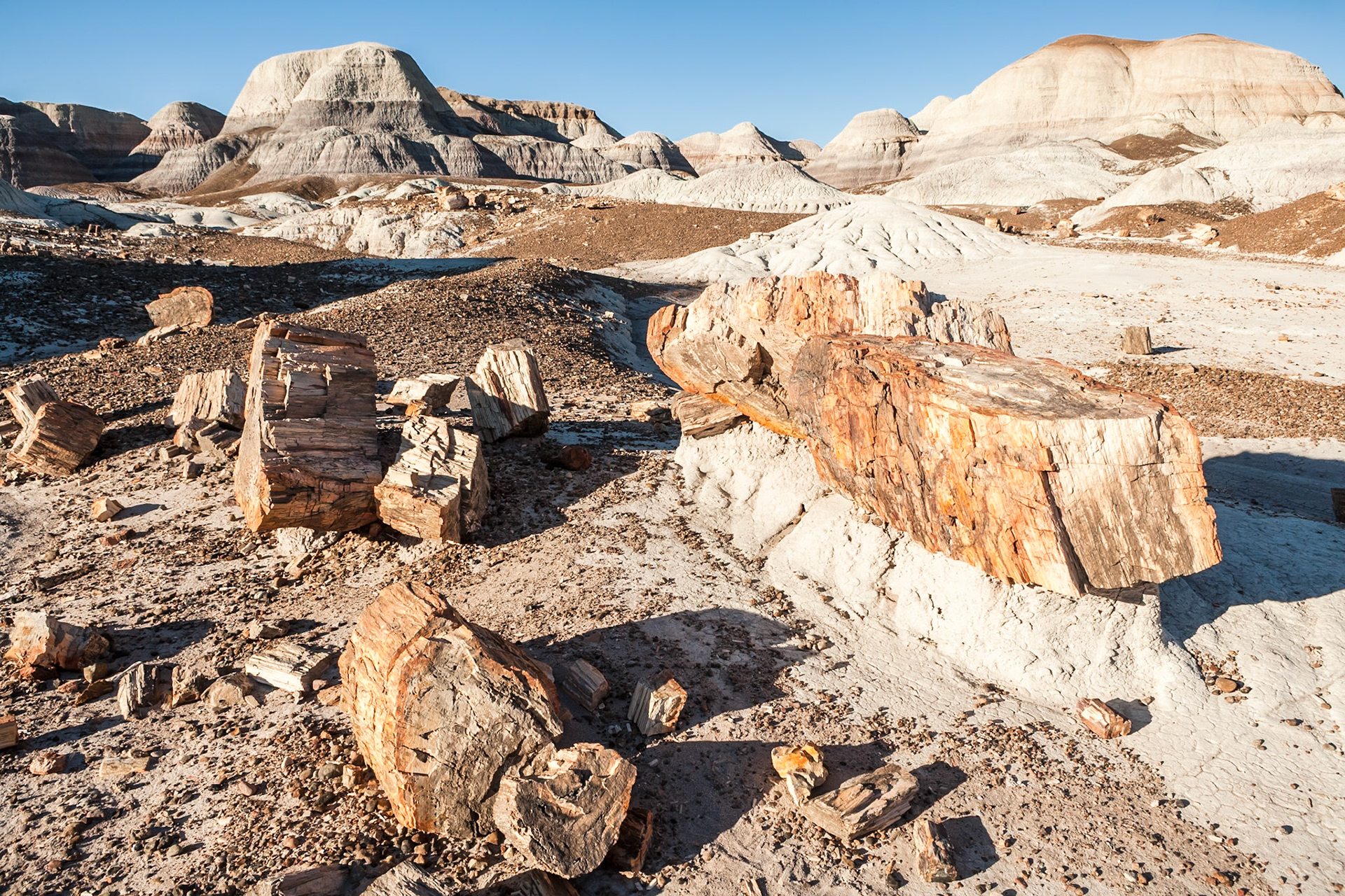 Petrified Forest National Park, Blue Mesa, AZ, USA