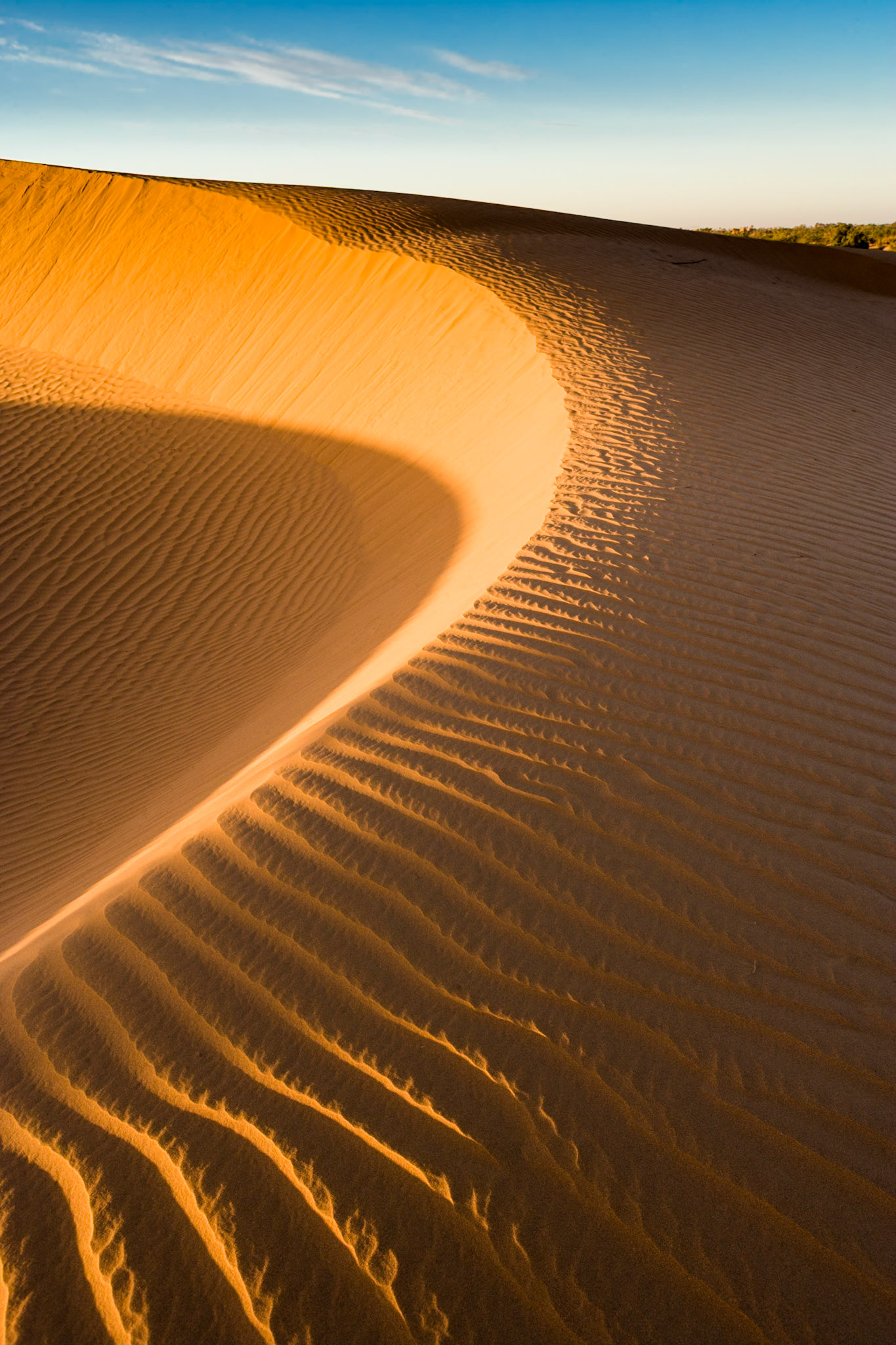 Sunrise at the dunes (Sahara) at Mhamid, Morocco