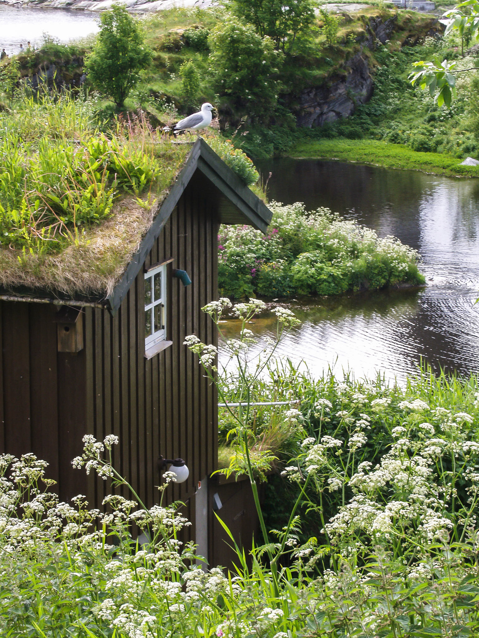 Cottage at Saltfjorden Straumen, Technical Error
