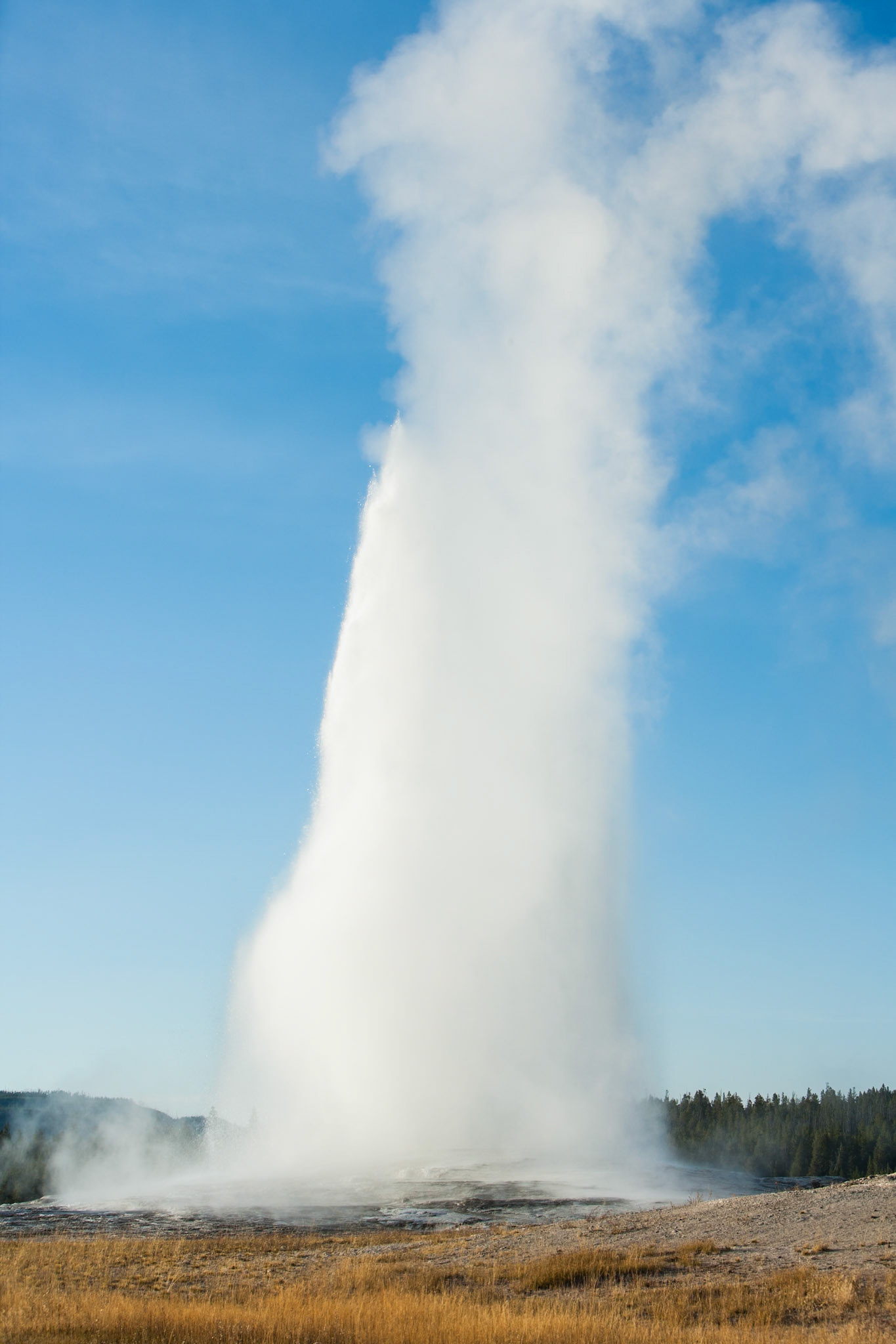 Old Faithful at Upper Geyser Basin, Yellowstone Nat'l Park, WY, USA