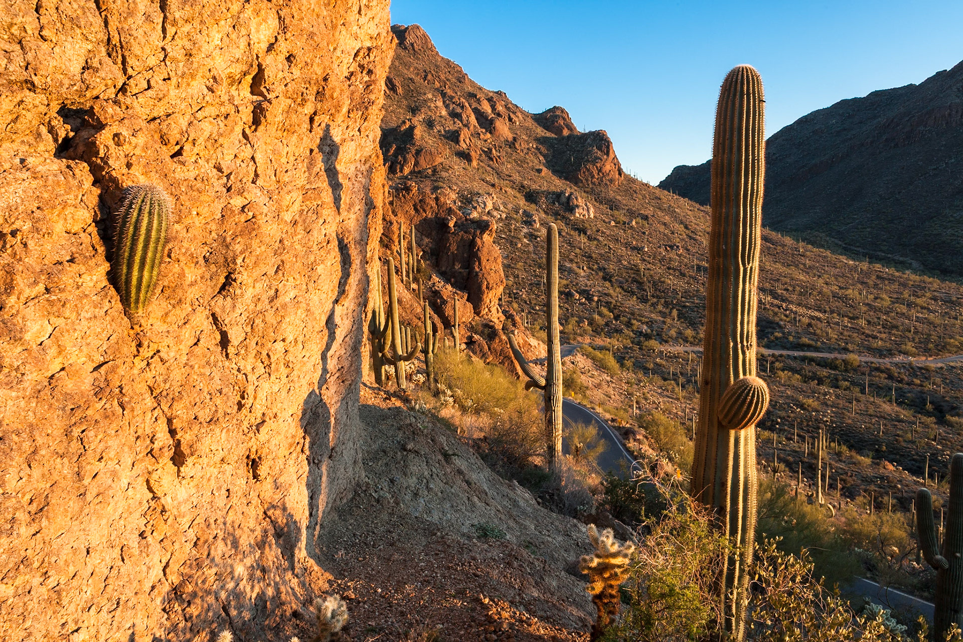 Tucson Mountain Park at the Gate Pass at sunset, Arizona, USA