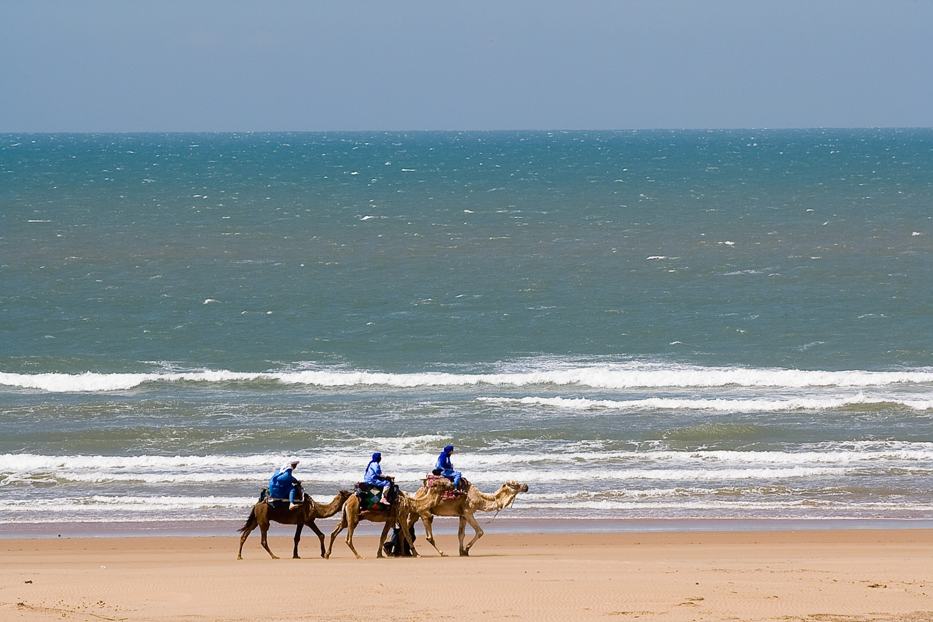Camels at the beach at Sidi Kaouiki, south of Essaouira,