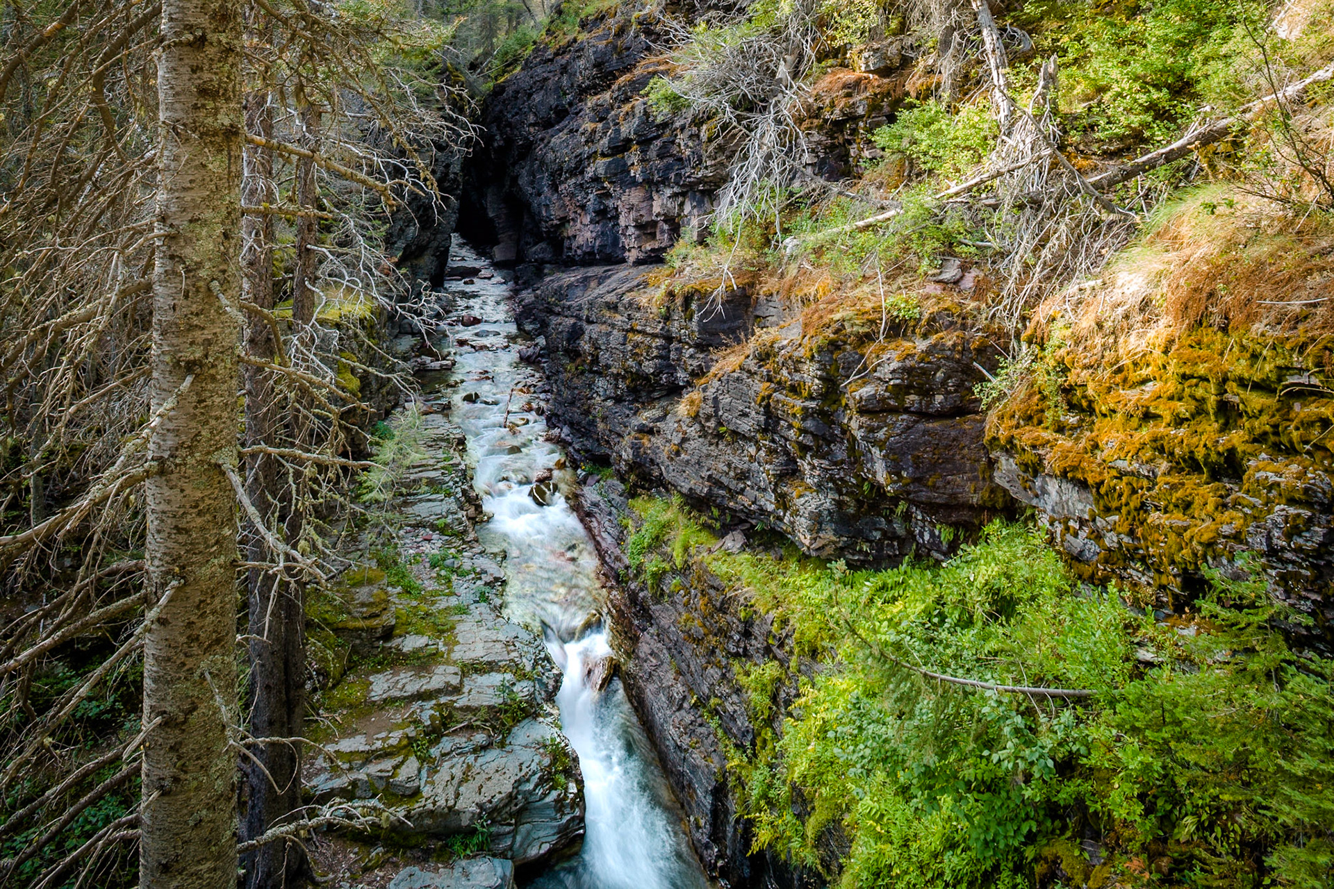 Sunrift Gorge on Baring Creek in Glacier National Park, Montana, USA