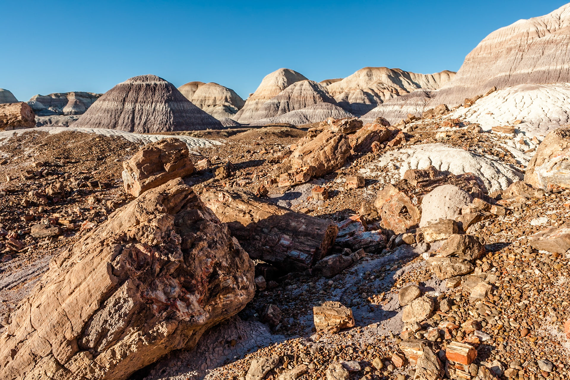 Petrified Forest National Park, Blue Mesa, AZ, USA