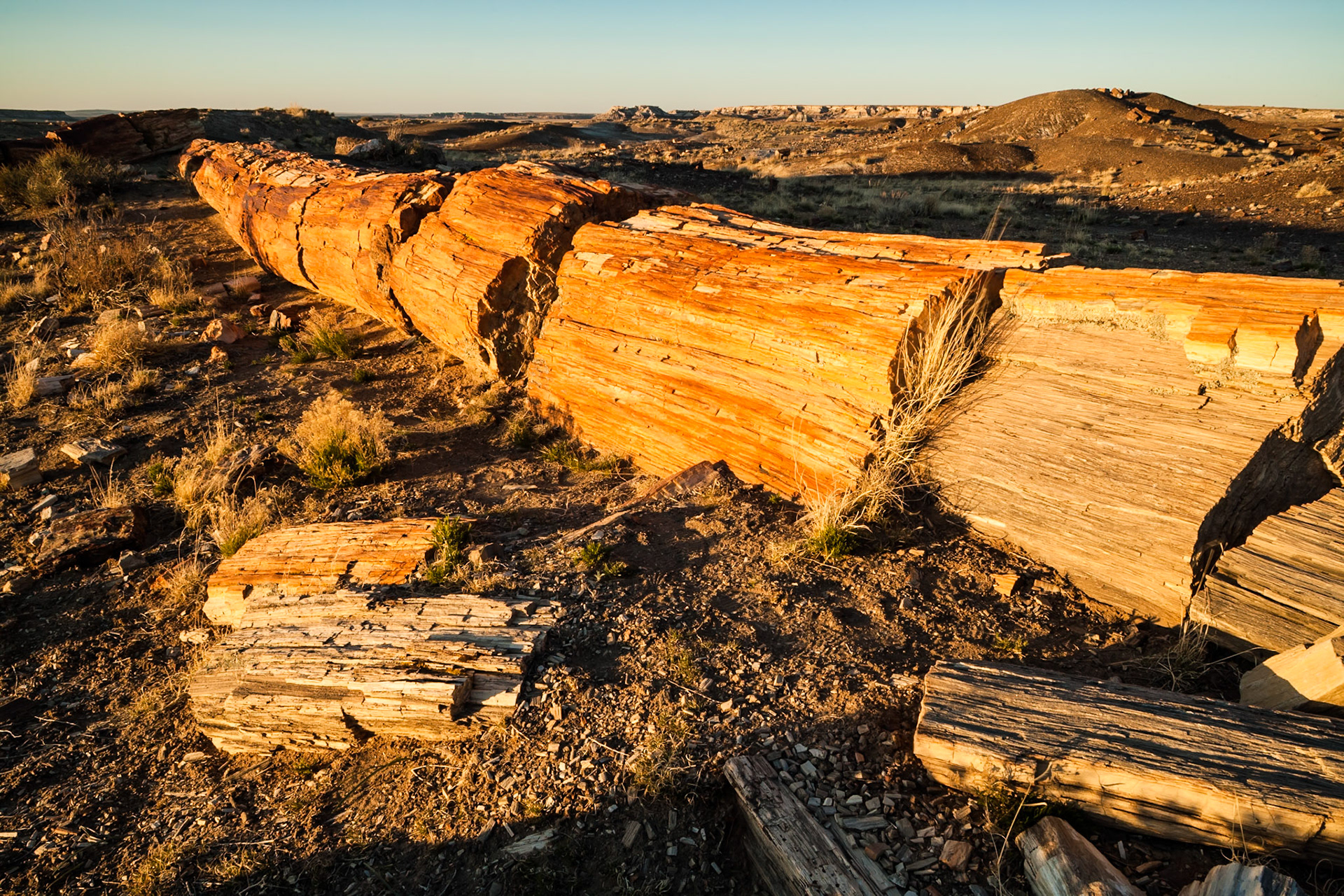 Sunset at Petrified Forest National Park, Crystal Forest, AZ, USA