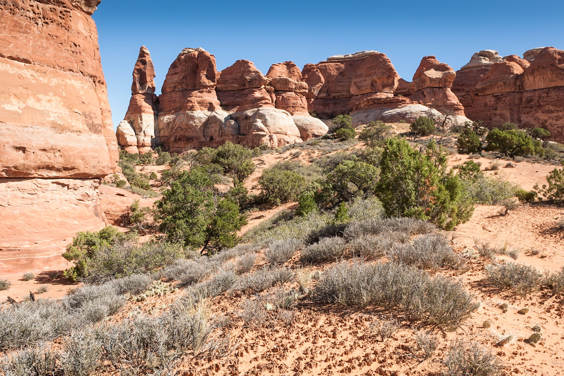 Chesler Park at Squaw Flat Loop Trail, Canyon Lands NP, UT