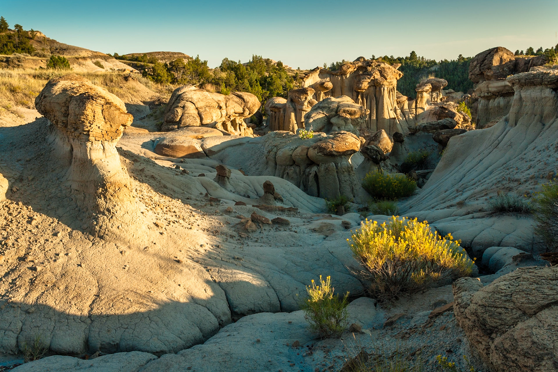 Makoshika State Park, Montana, North America at sunset