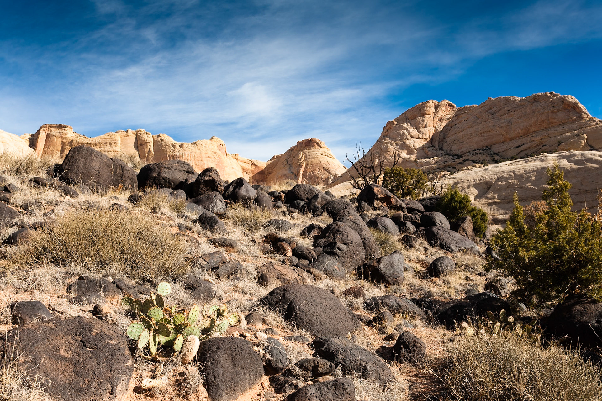 Hickman Natural bridge Trail, Capitol Reef Nat'l Park, Utah, USA