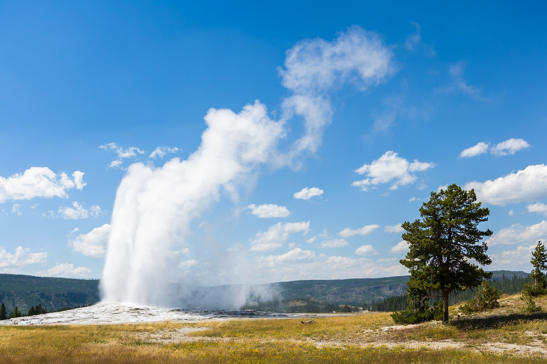 Old Faithfull Geyser in Yellowstone National Park, WY, USA