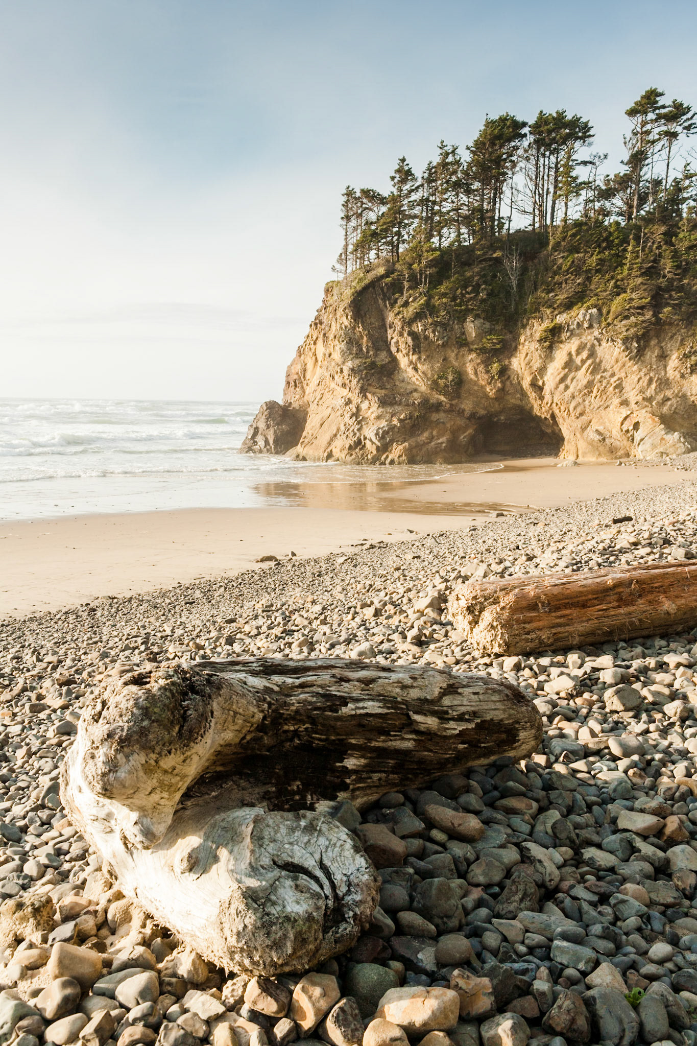 Driftwood at Hug Point at Oregon Coast Hwy, USA
