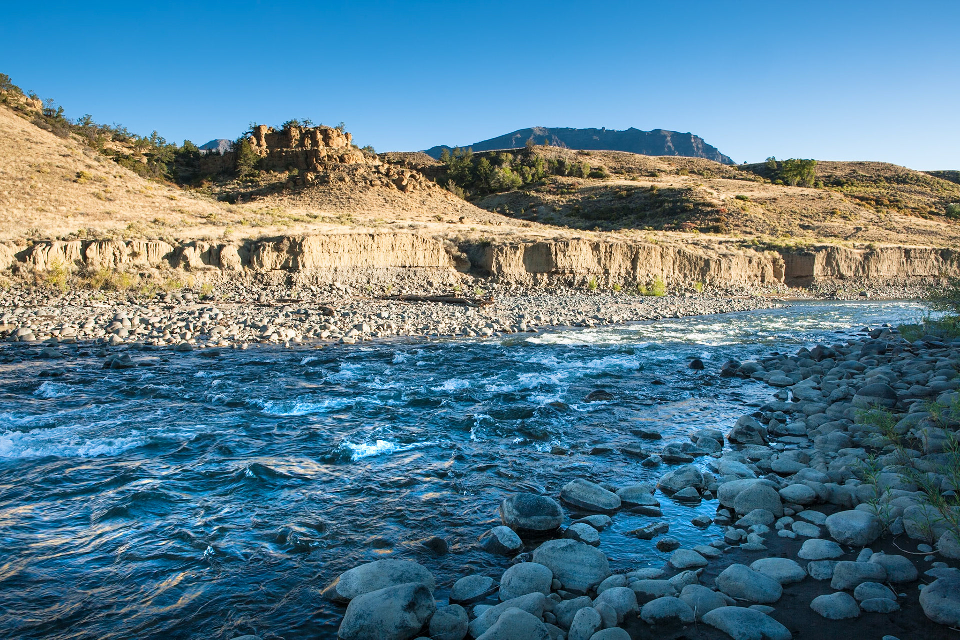 Shoshone River at Wapiti Valley, Wyoming, WY, USA