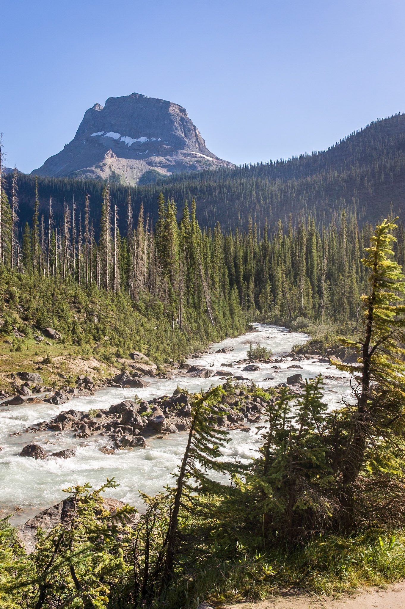 Yoho River near the Takkakaw Fall, Yoho National Park, BC, CA