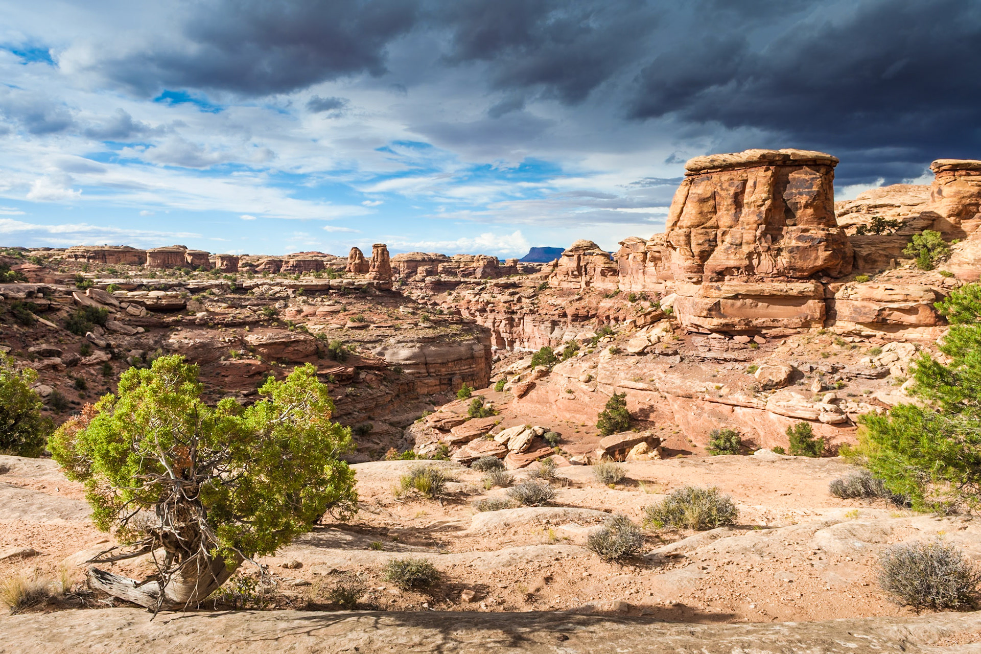 Big Spring Canyon in Canyonlands NP, Needles District, UT, USA