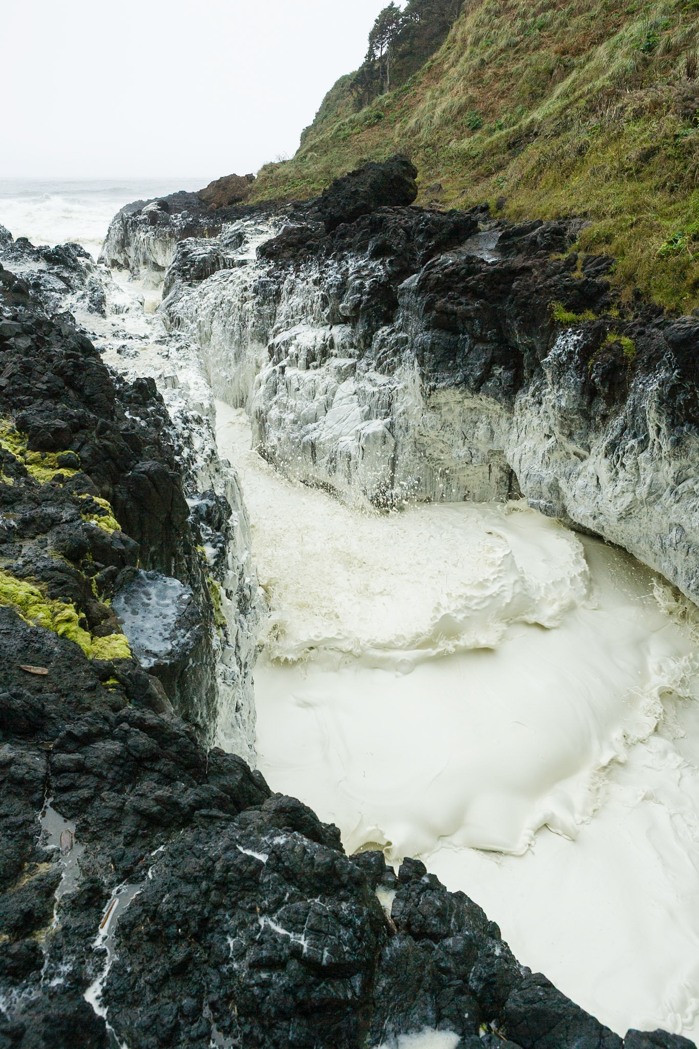 Devil's Churn at the coast of Oregon, Hwy 101, on a foggy day, OR, USA