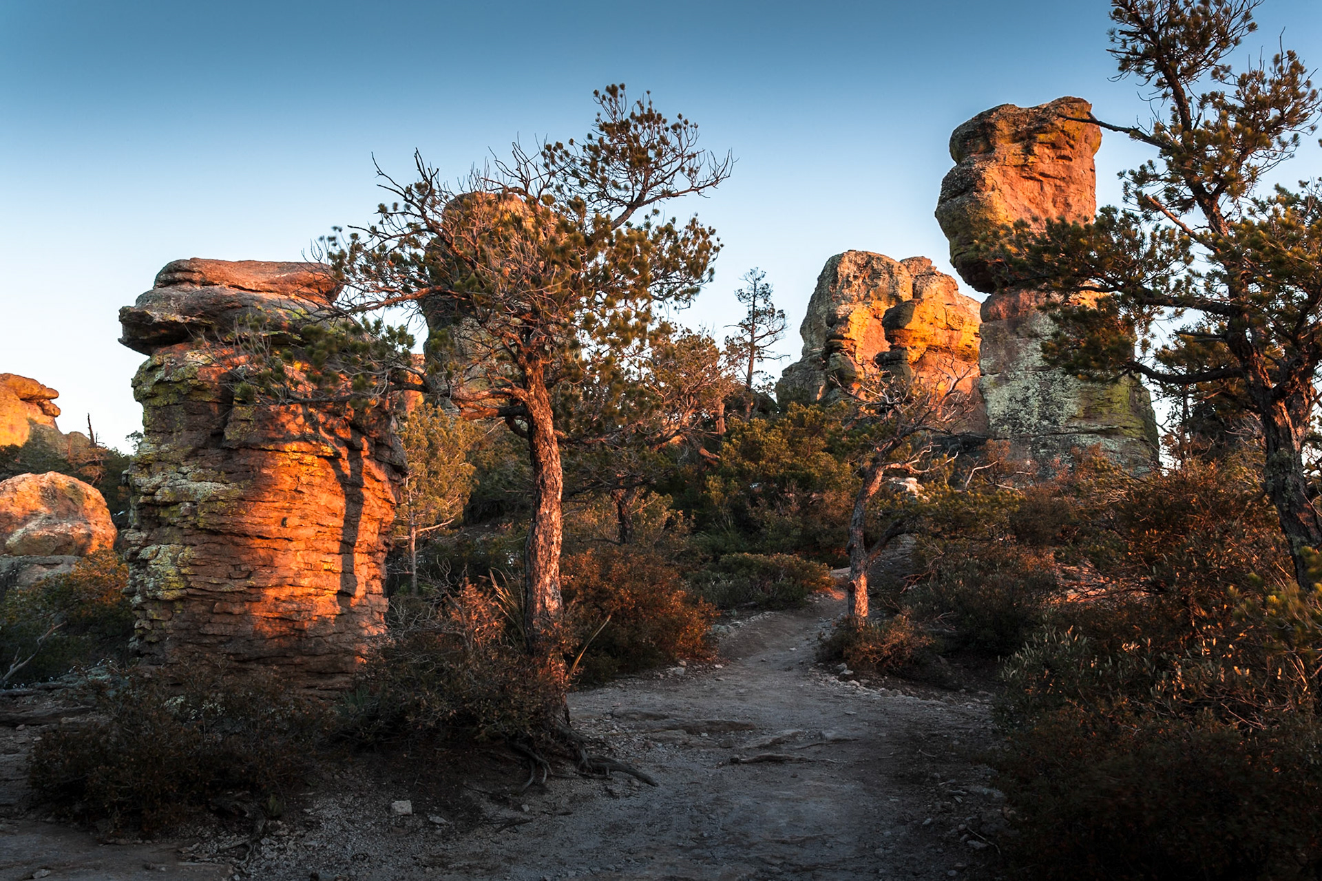 Rock formations at sunset in Chiricahua National Monument, Arizona, USA