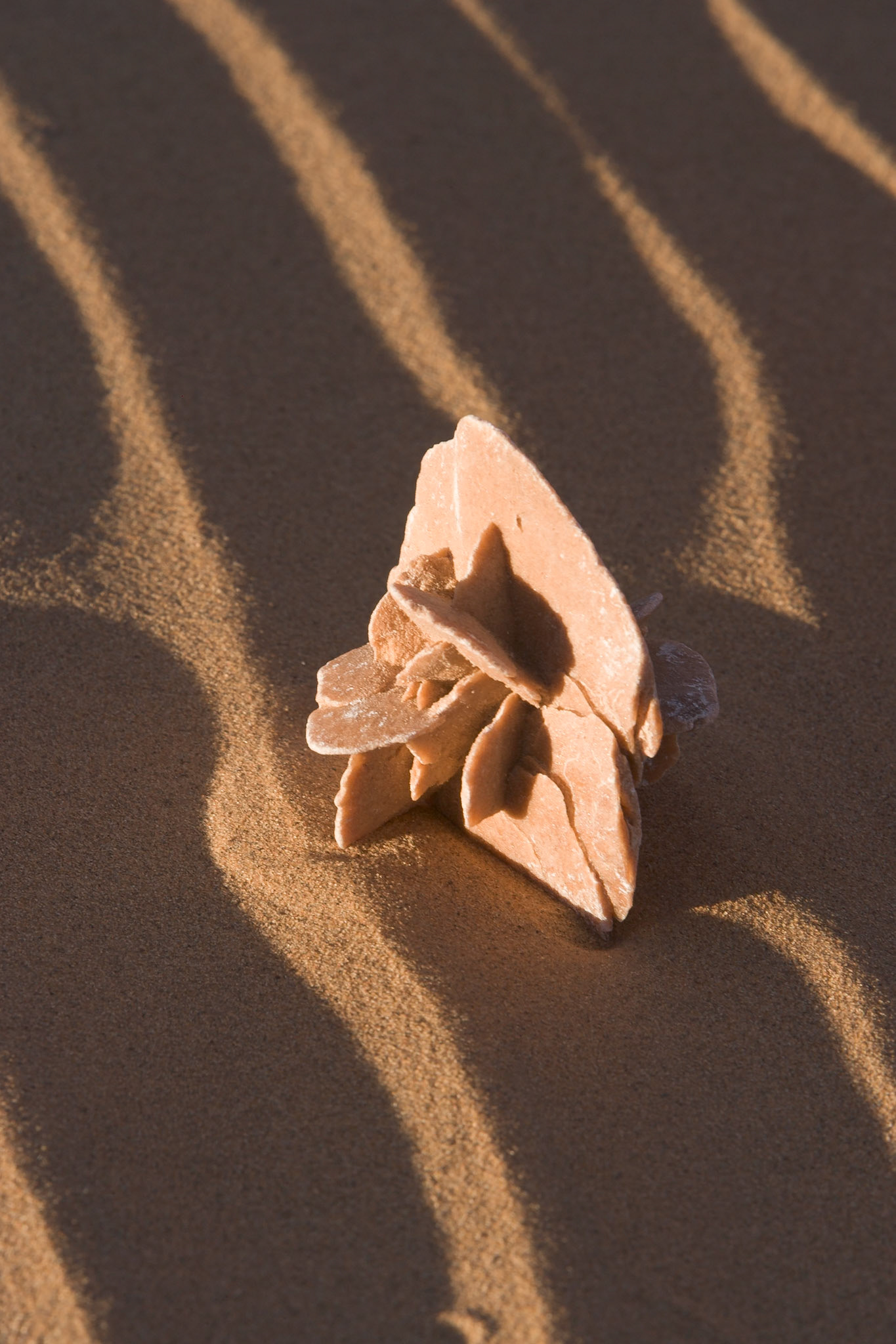 Desert rose at Sunset at the dunes of Hassi Labiad, TECHNICAL ISSUES