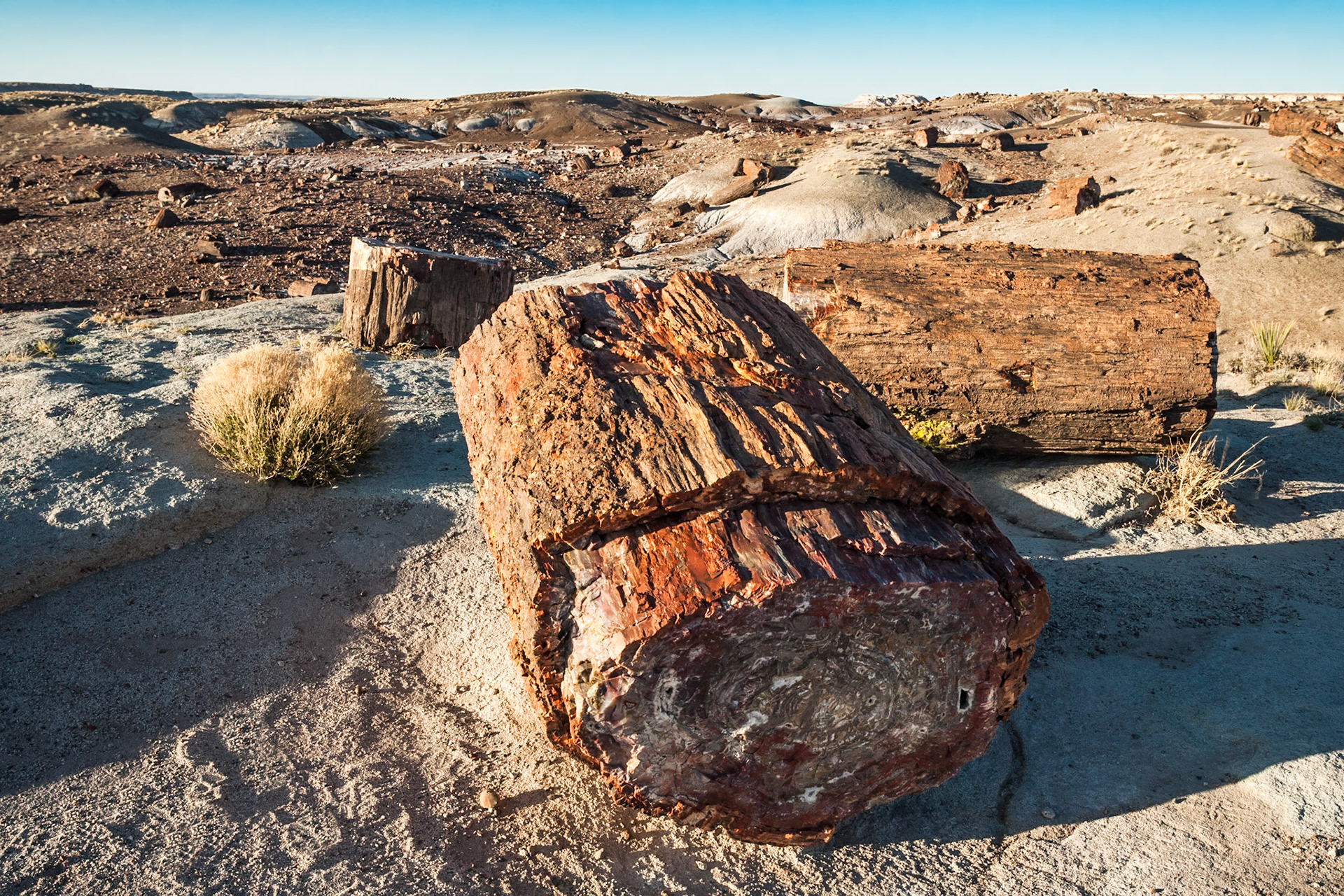Sunset at Petrified Forest National Park, Crystal Forest, AZ, USA