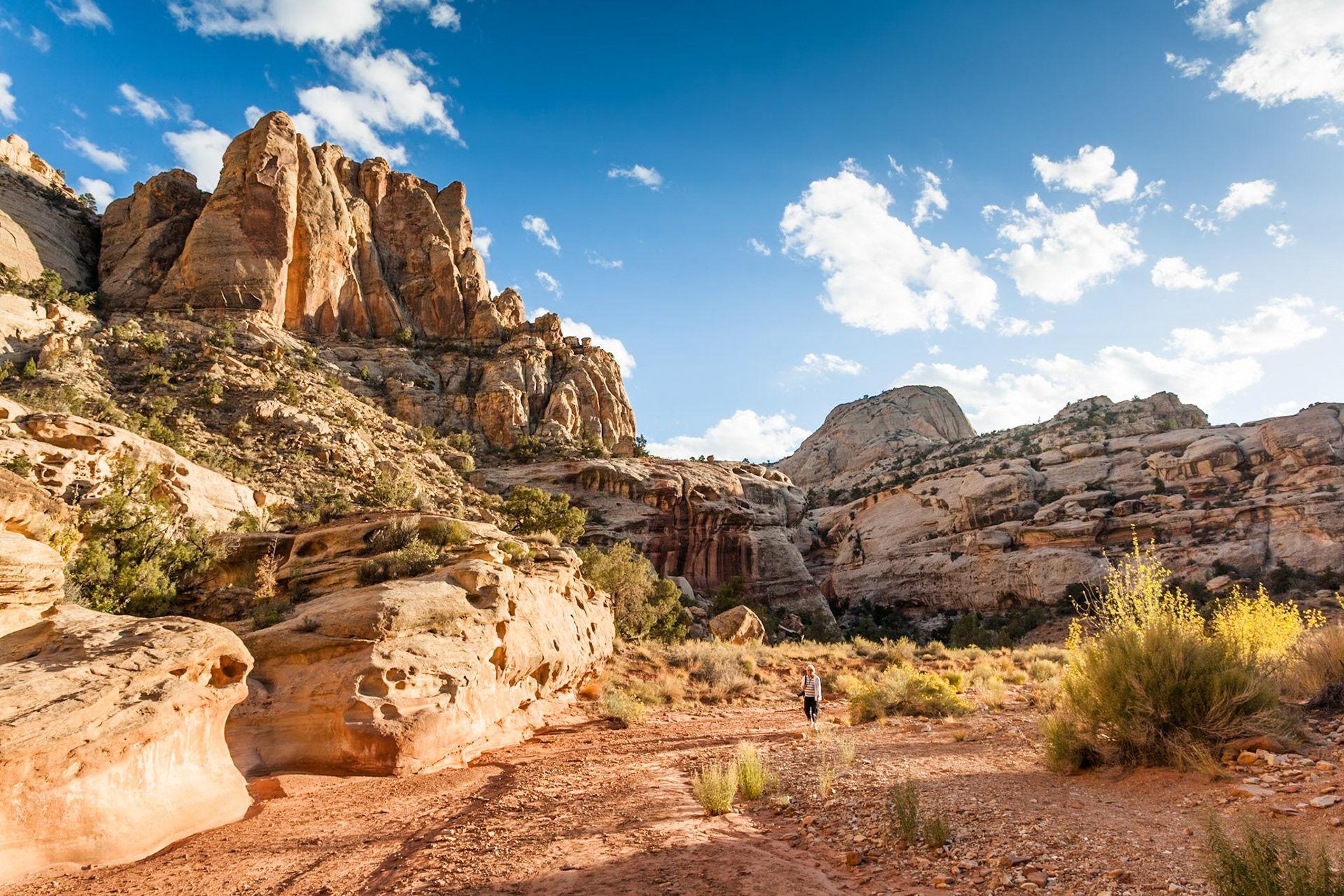 Woman hiking at Grand Wash, Capitol Reef Nat'l Park, Utah, USA