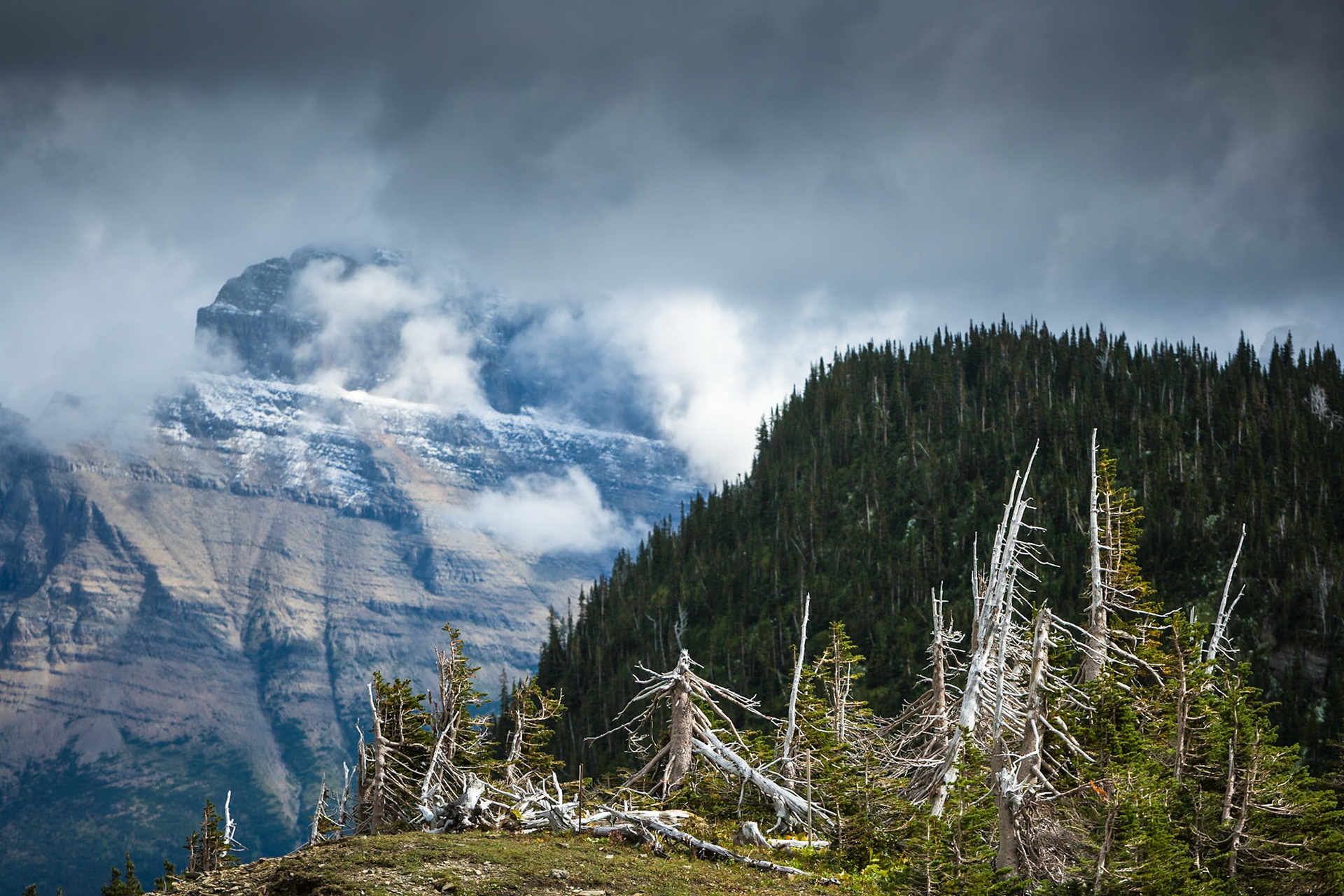 Glacier National Park, Montana, USA