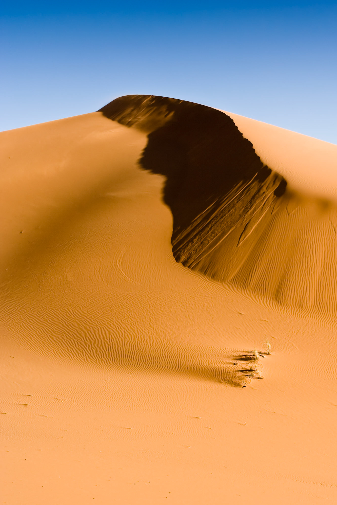 Sunset at the dunes of Hassi Labiad, Sahara, Morocco