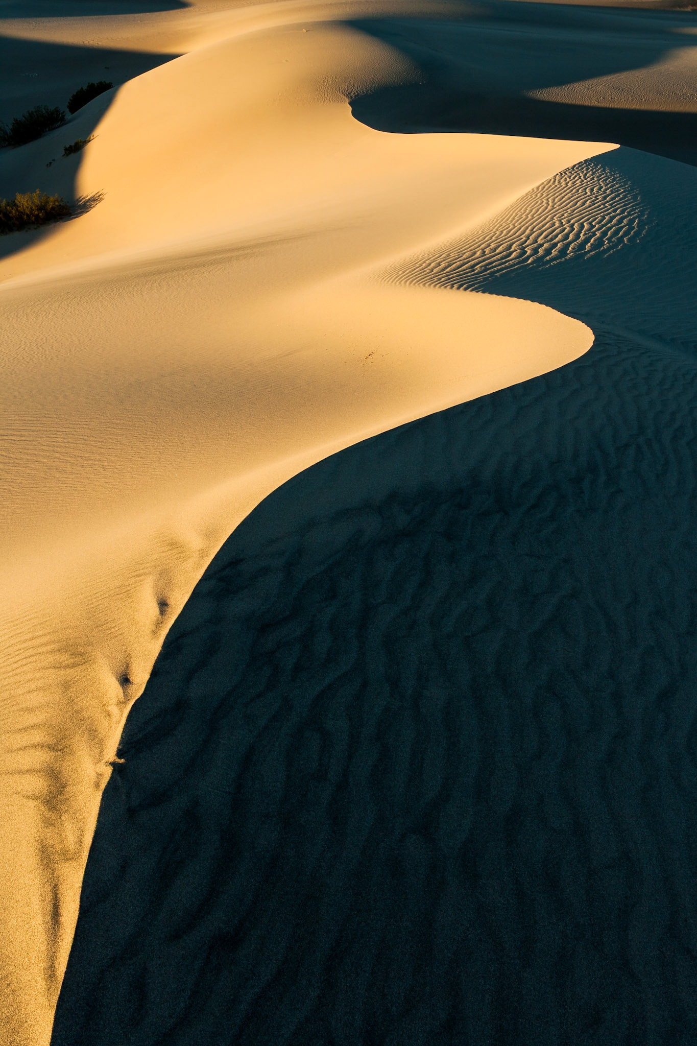 Sunrise at the Mesquite Dunes at Death Valley, CA, USA