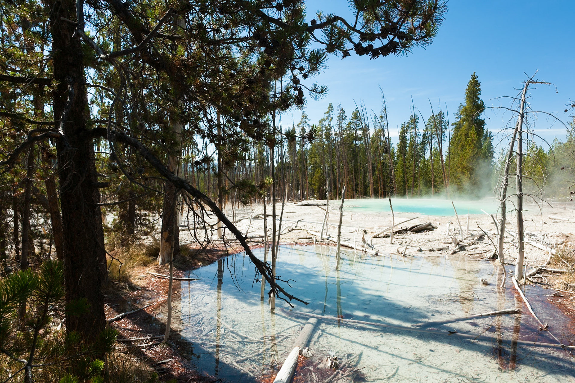 Cistern Spring, Norris Geyser Basin, Yellowstone National Park, WY, USA