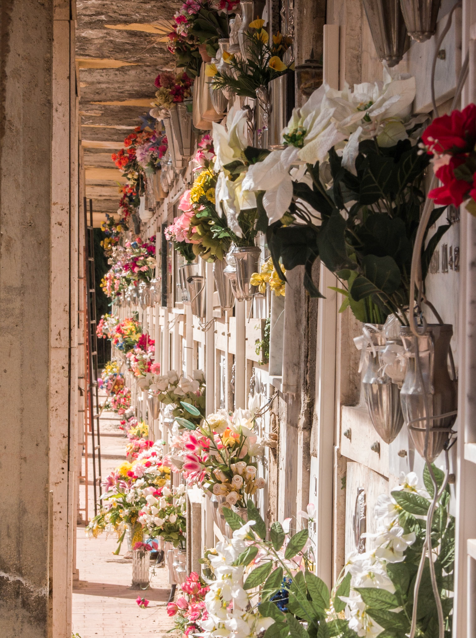 Lots of flowers at "city" of graves, Cemetary the Italian way  at Ribera, Sicily, IT