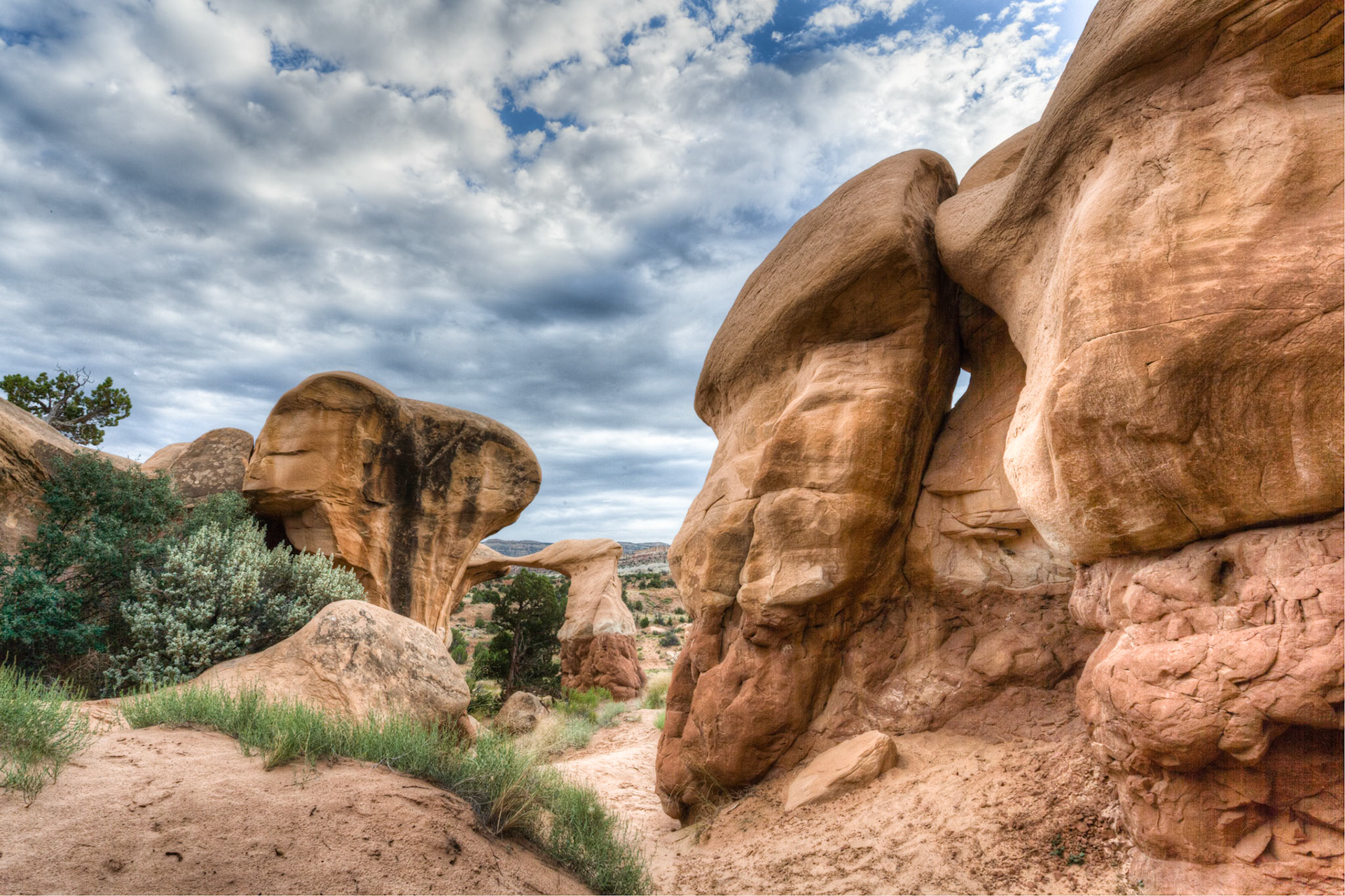 Devils Garden at Grand Staircase Escalante National Monument, Utah, USA