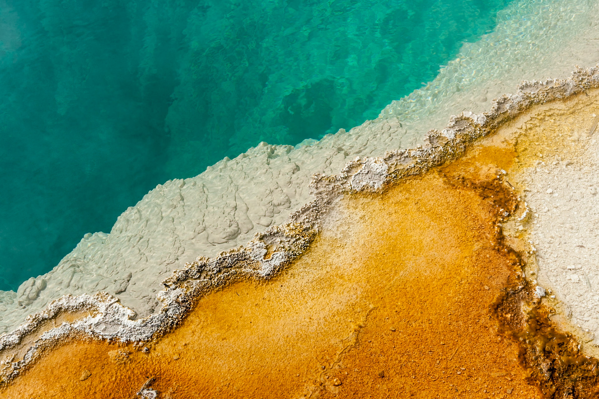 Black Pool at West Thumb Geyser Basin has blue-greenish water and yellow-gold  border because of sulfur, Yellowstone Nat'l Park, WY, USA