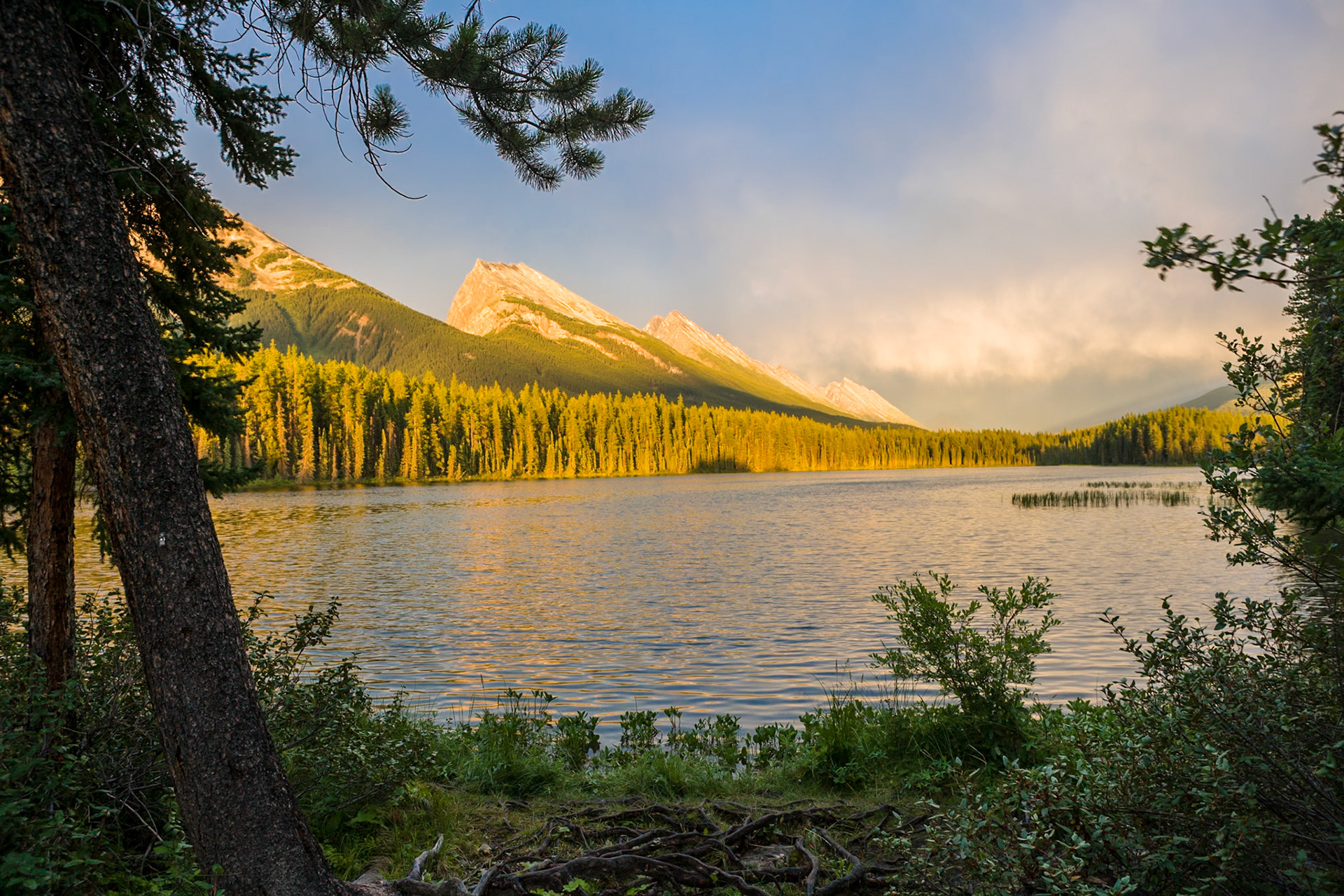 Honeymoon Lake, Jasper National Park, Alberta, CA