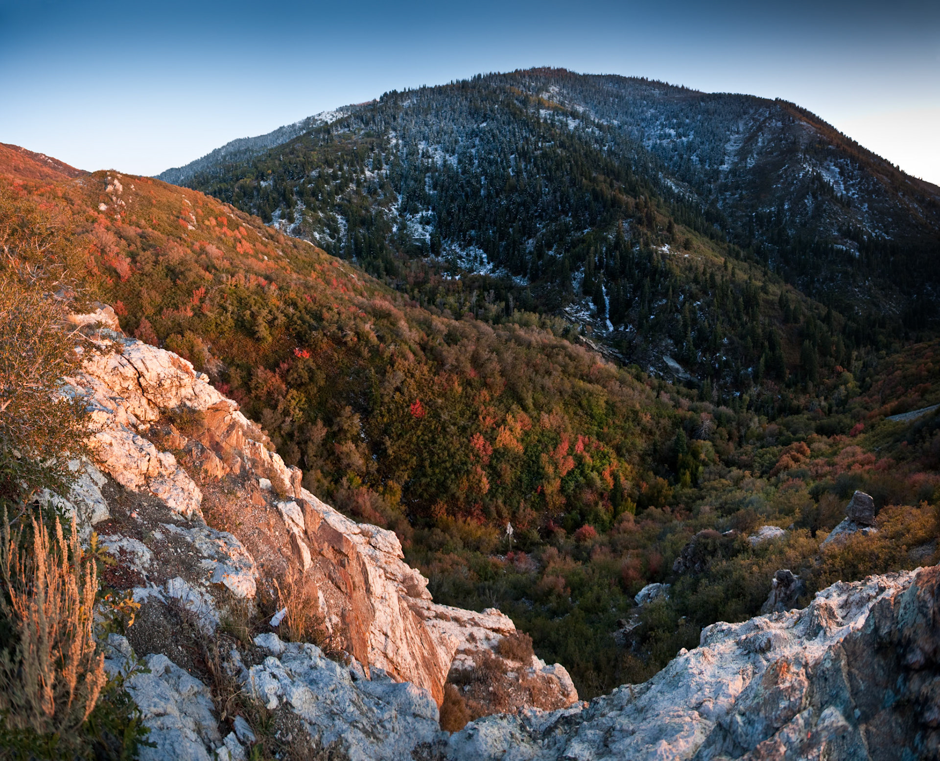 Fall at Wasatch National Forest, Wasatch Range, Utah