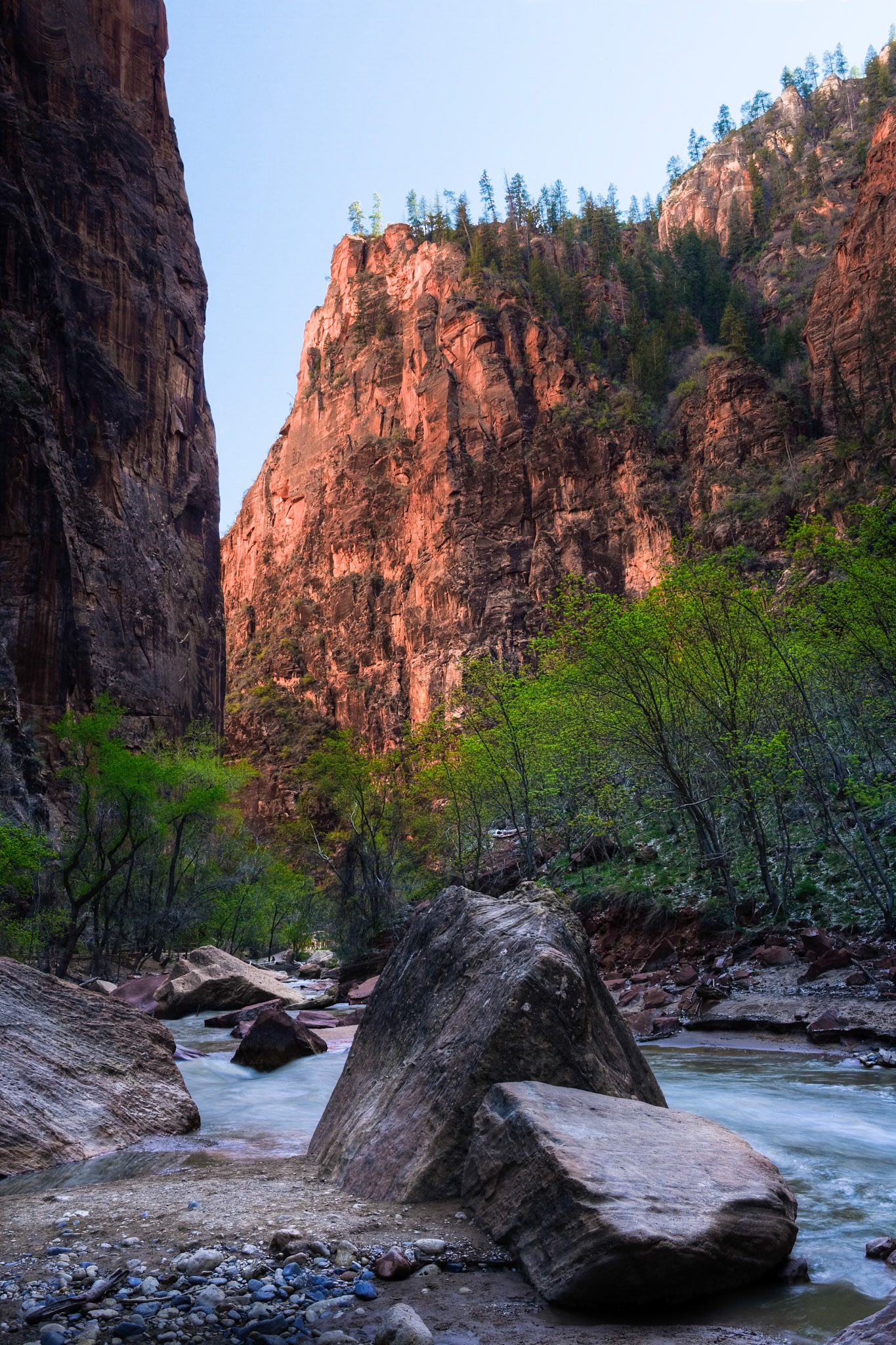 Zion National Park, North Fork Virgin River, UT, USA