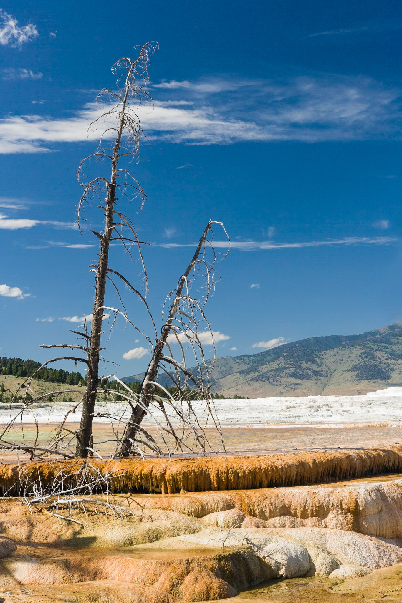 Canary Spring at Mammoth Hot Springs  in Yellowstone National Park Wyoming, TECHNICAL ISSUES