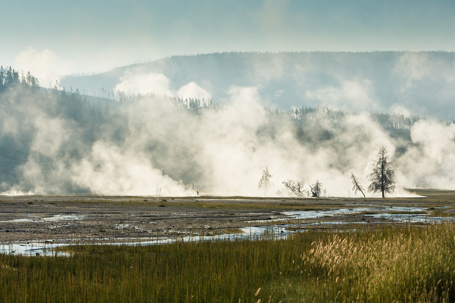 Midway Geyser Basin in Yellowstone National Park Wyoming, USA
