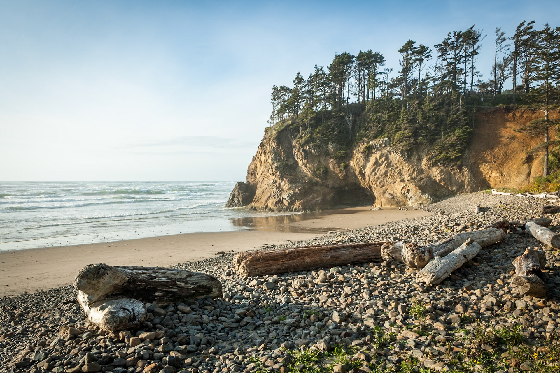 Driftwood at Hug Point at Oregon Coast Hwy, USA