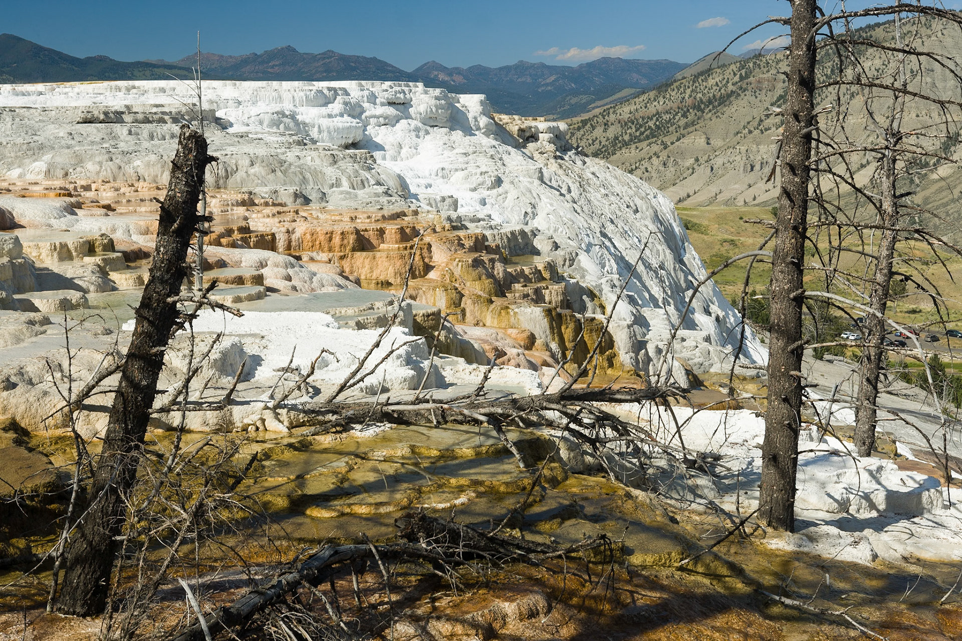 Canary Spring at Mammoth Hot Springs  in Yellowstone National Park Wyoming, AESTHETIC OR COMMERCIAL APPEAL OF IMAGE