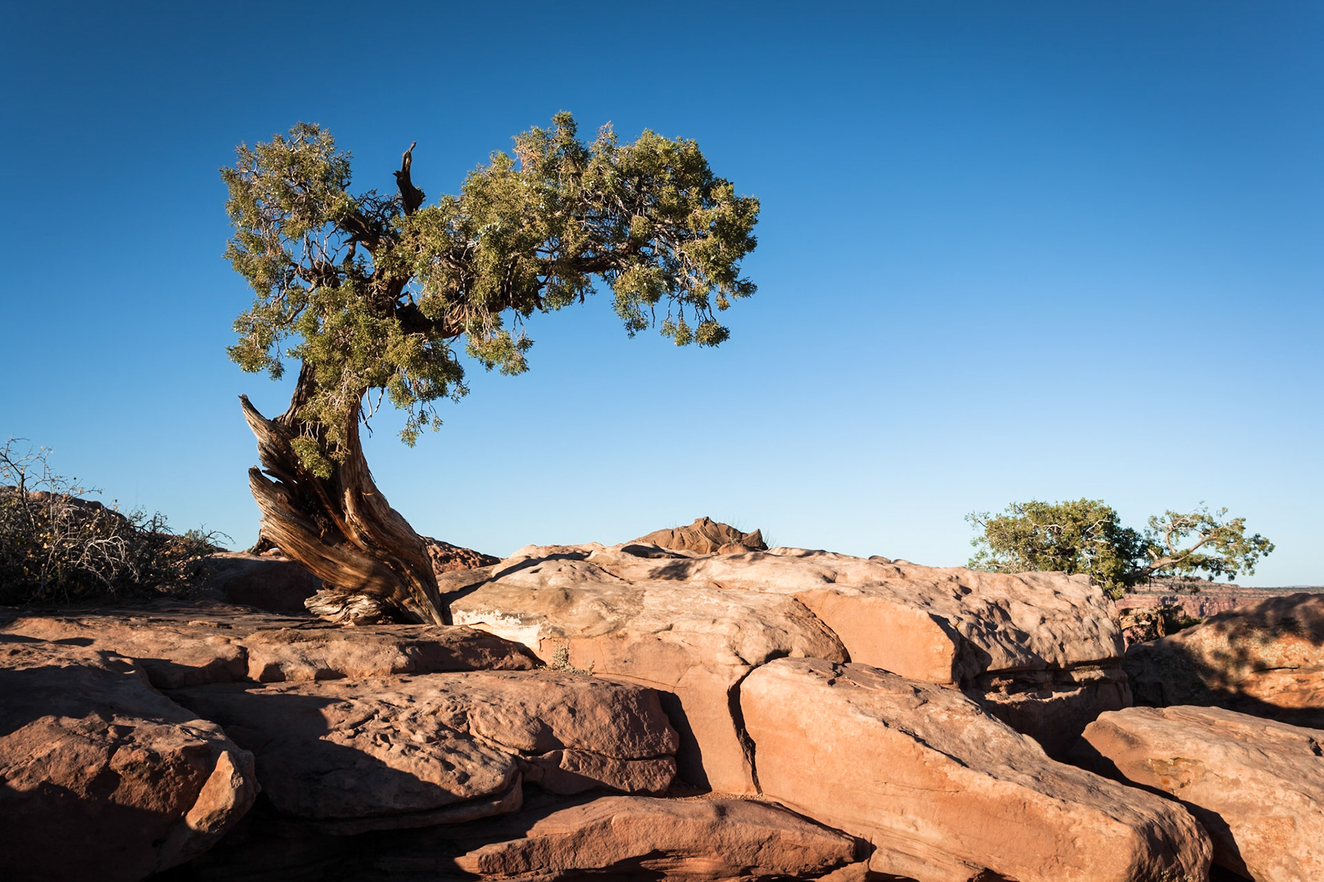 Dead Horse Point State Park, Utah, USA
