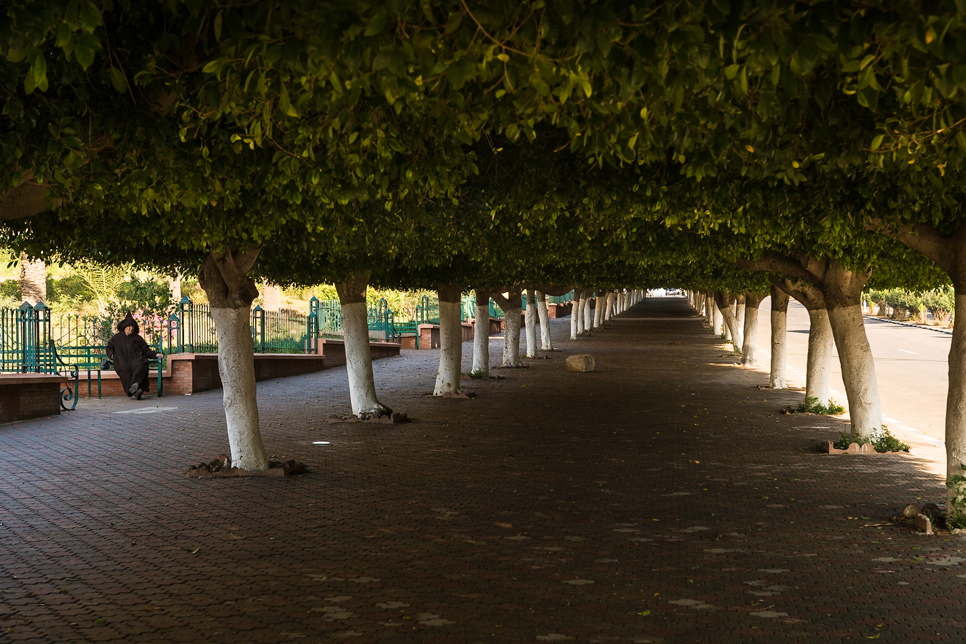 Walking lane at Safi, Morocco, ARTIFACTS PROBLEM