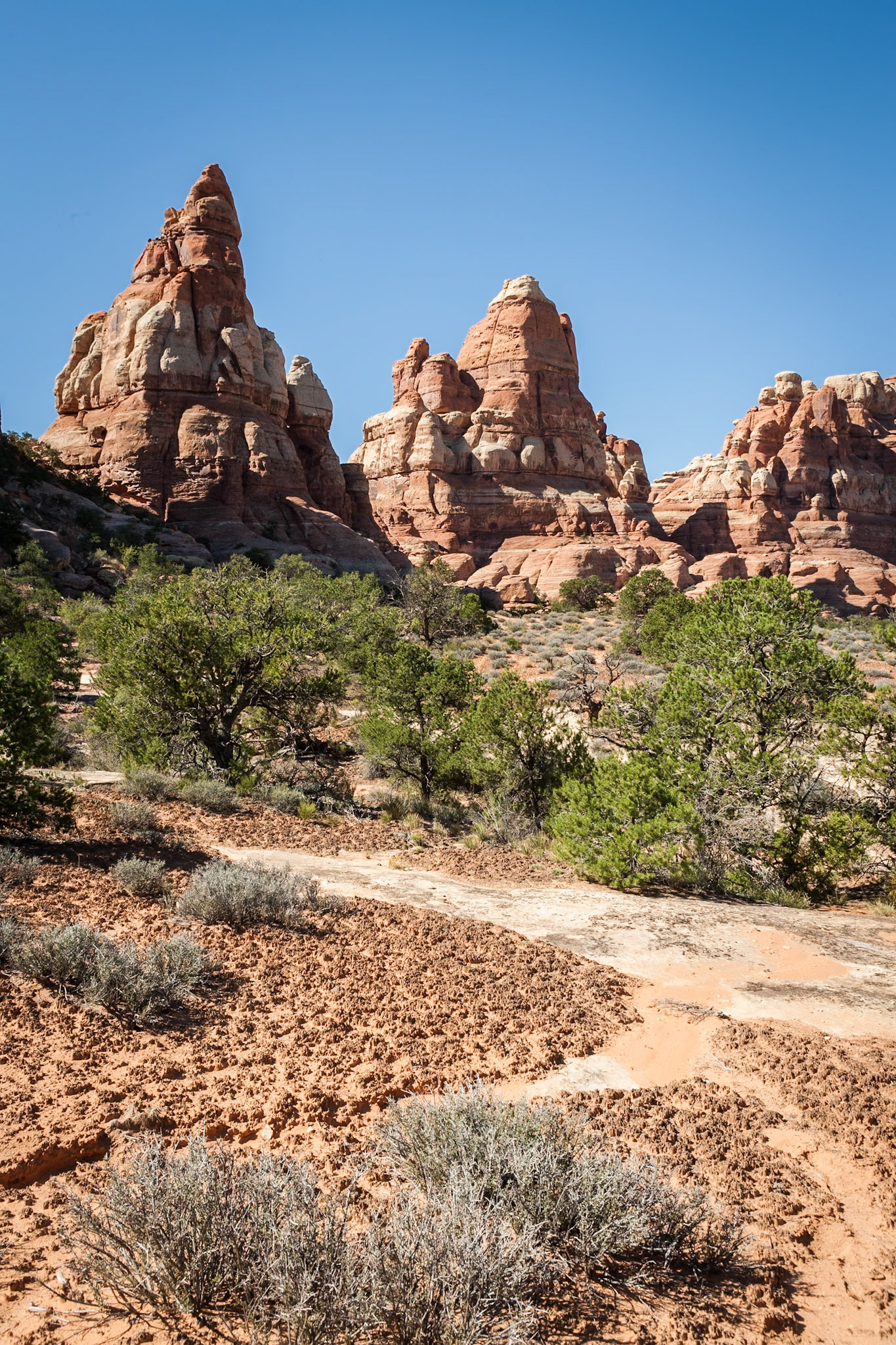Squaw Flat Loop Trail, Canyon Lands NP, UT
