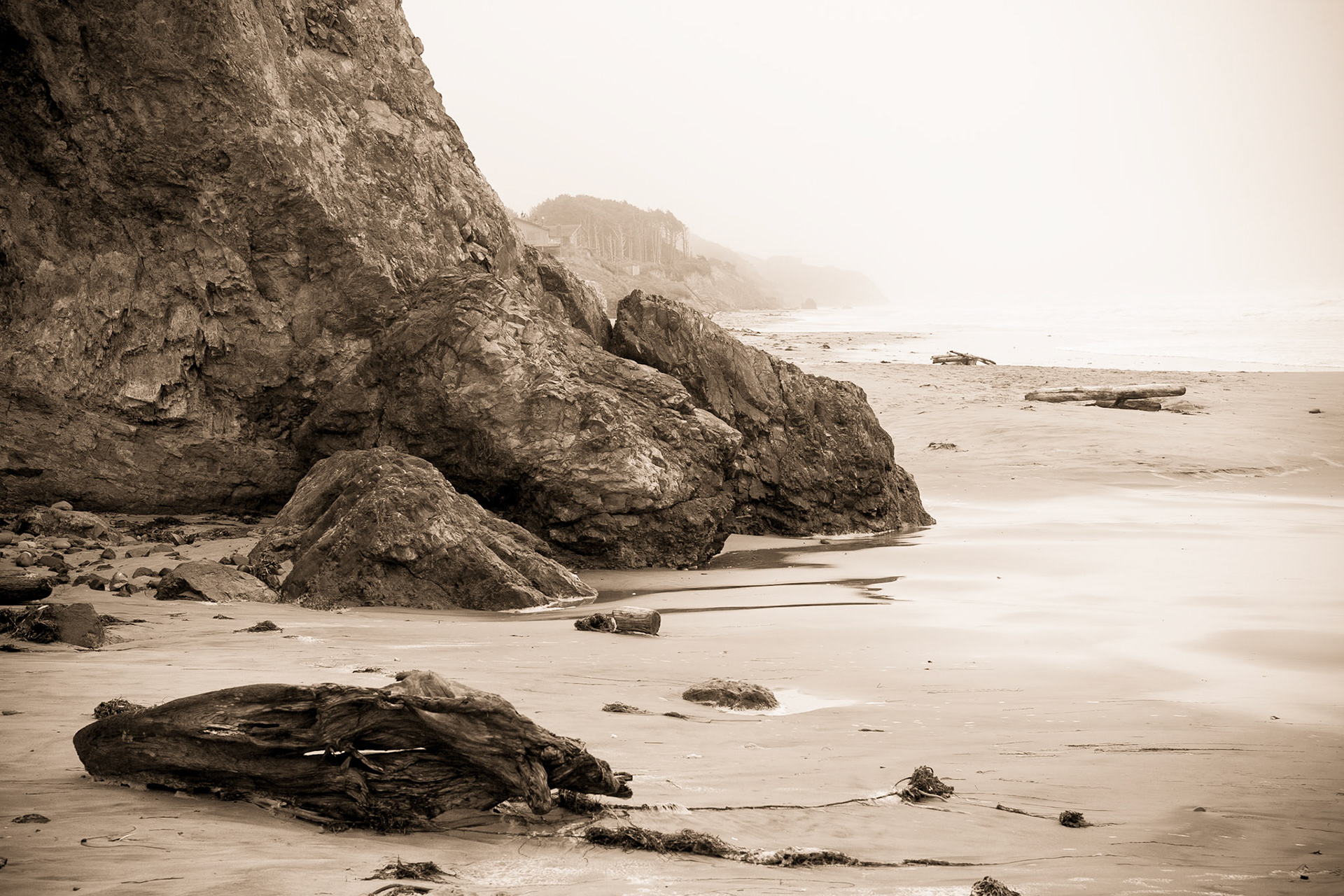 Oregon Coast Hwy 101, south of Beverly Beach