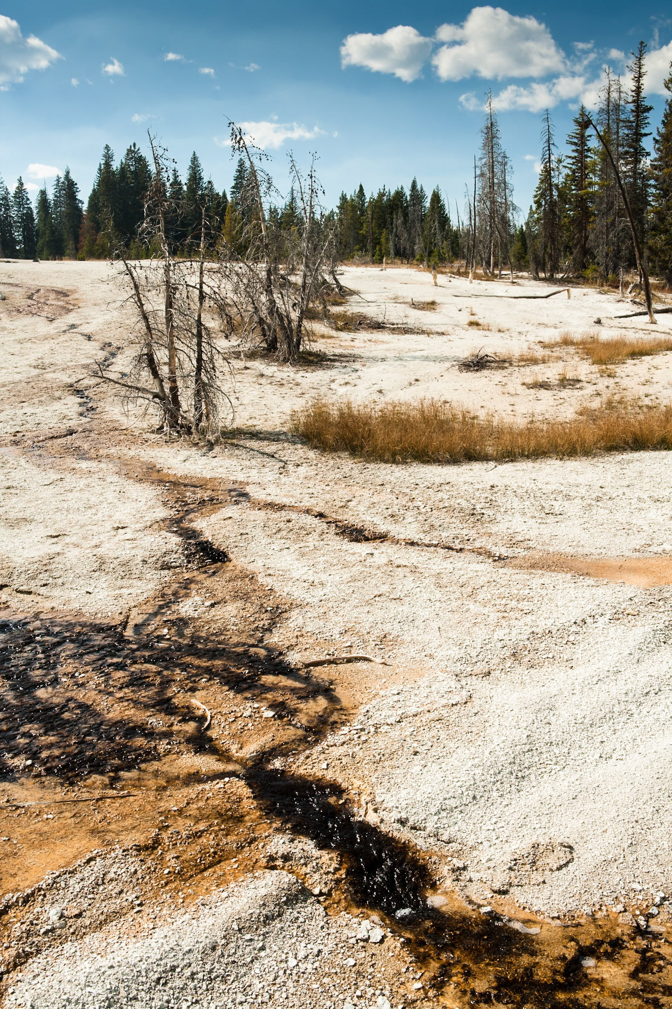 West Thumb Geyser Basin, Yellowstone Nat'l Park, WY, USA