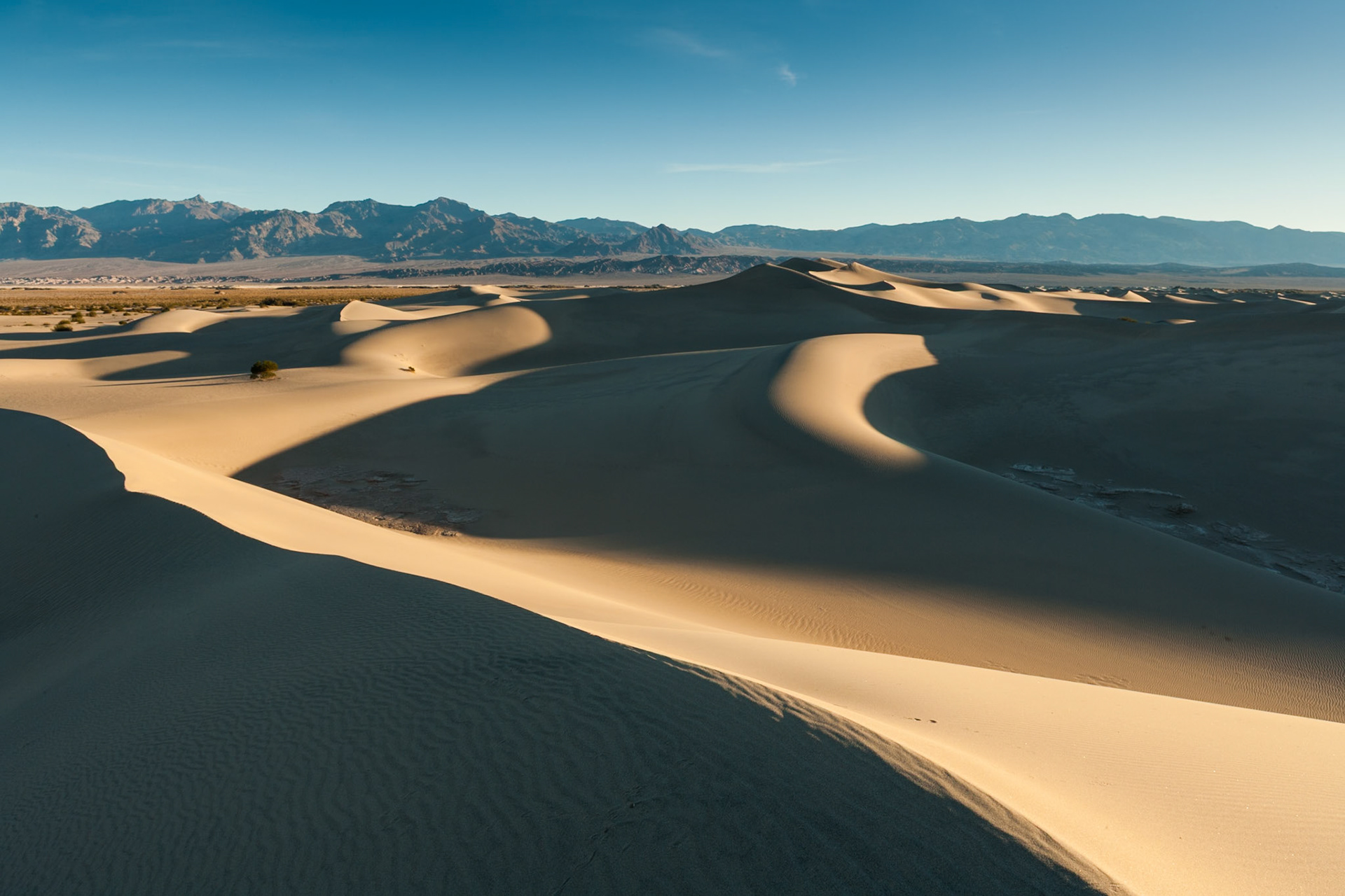 Mesquite Dunes at Death Valley, CA, USA