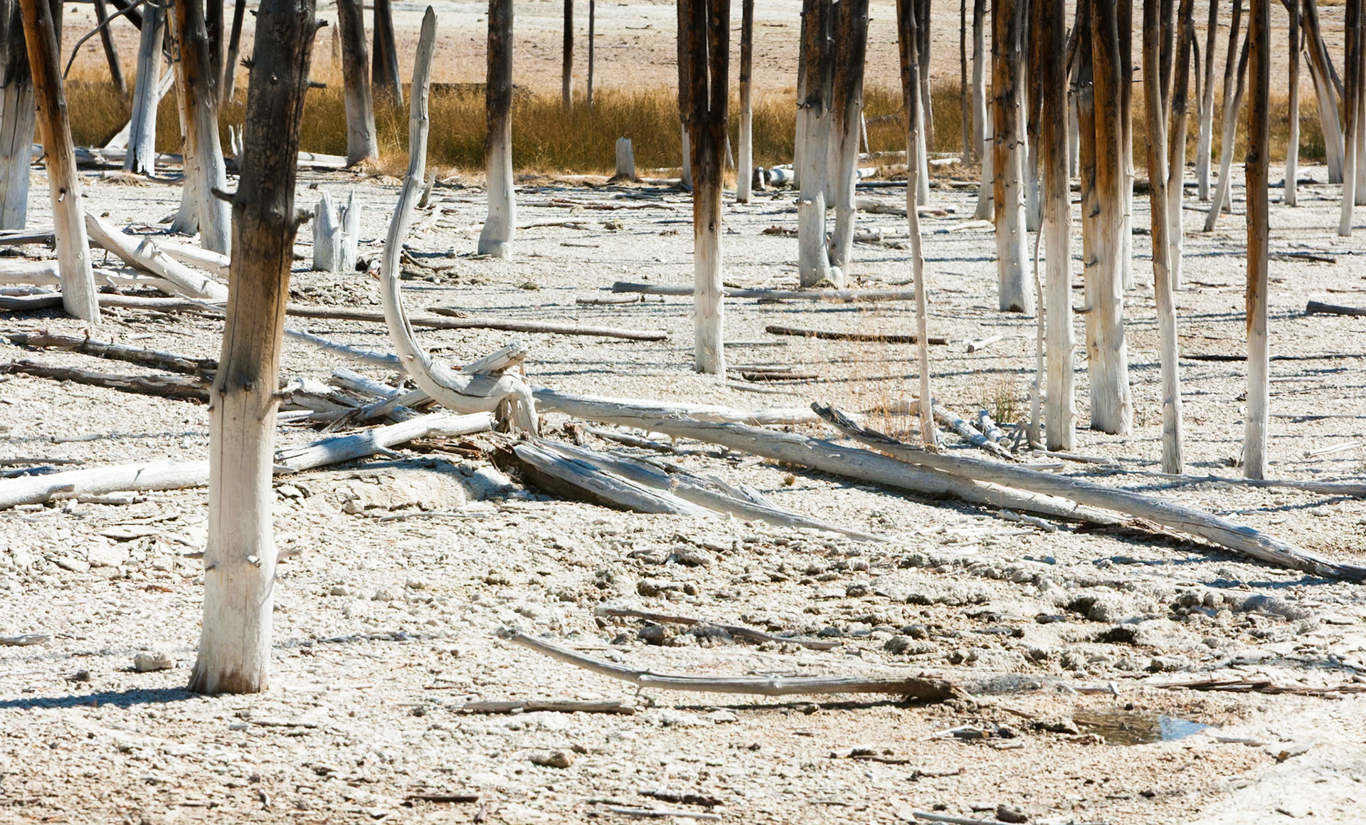 Cistern Spring, Norris Geyser Basin, Yellowstone National Park, WY, USA