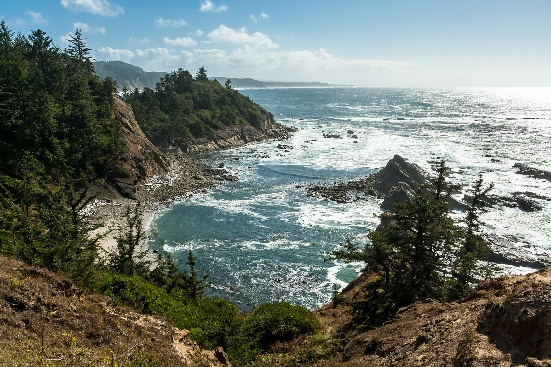 Cape Arago State Park, Oregon, USA